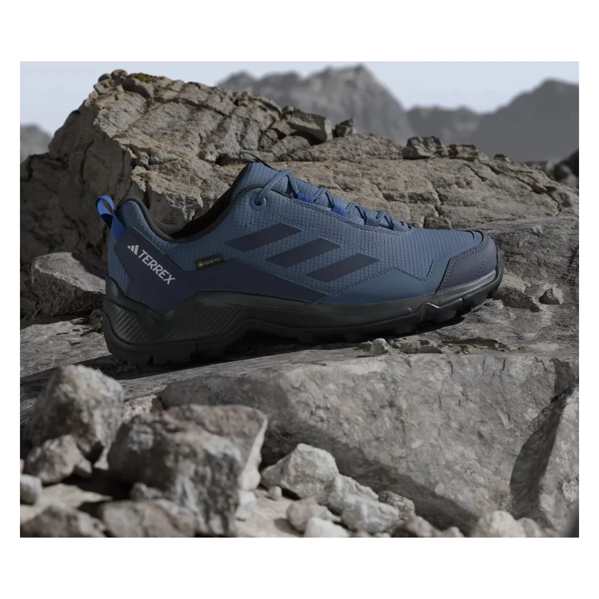 adidas Terrex Eastrail Gore-Tex Wonder Steel Shadow Navy Semi Lucid Blue