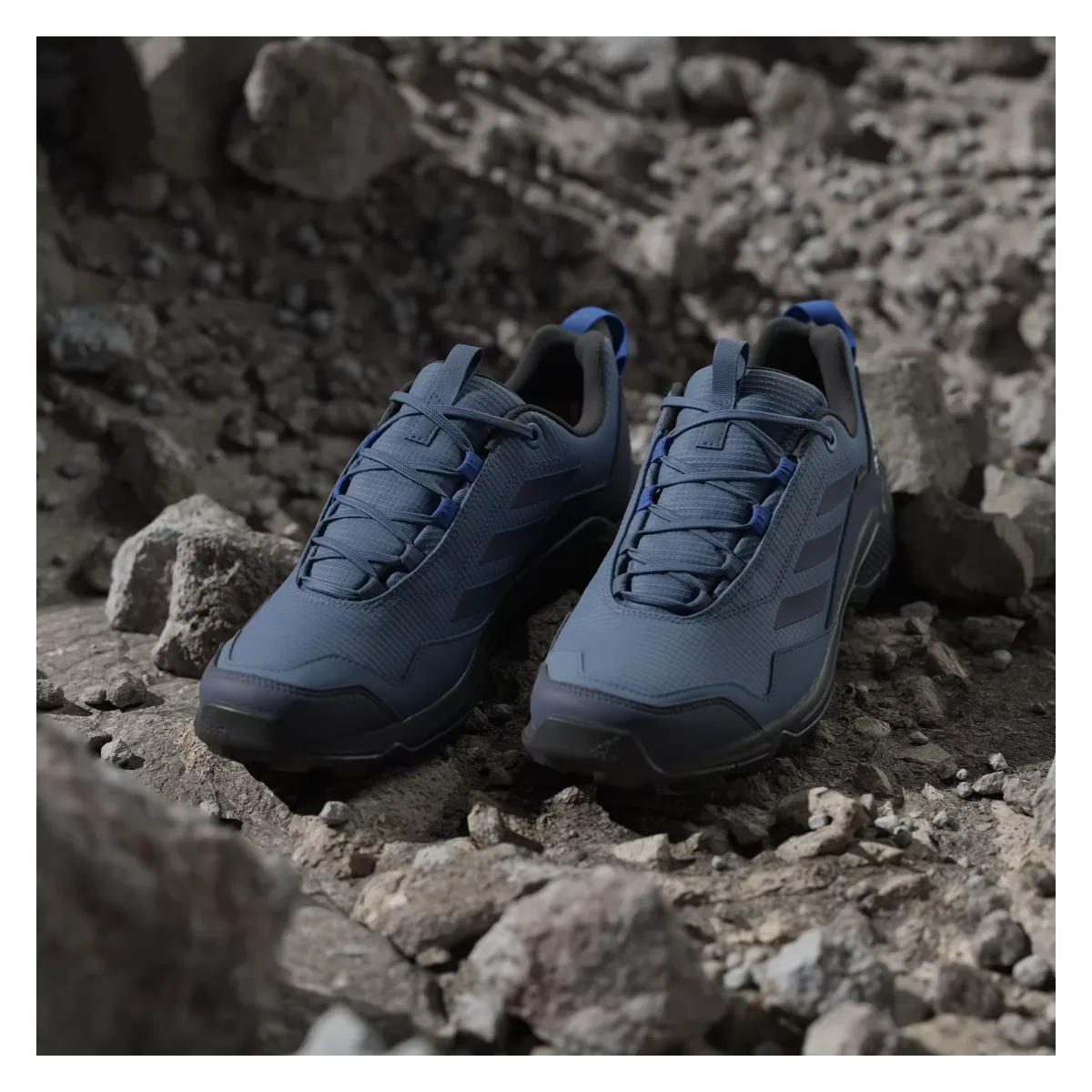 adidas Terrex Eastrail Gore-Tex Wonder Steel Shadow Navy Semi Lucid Blue