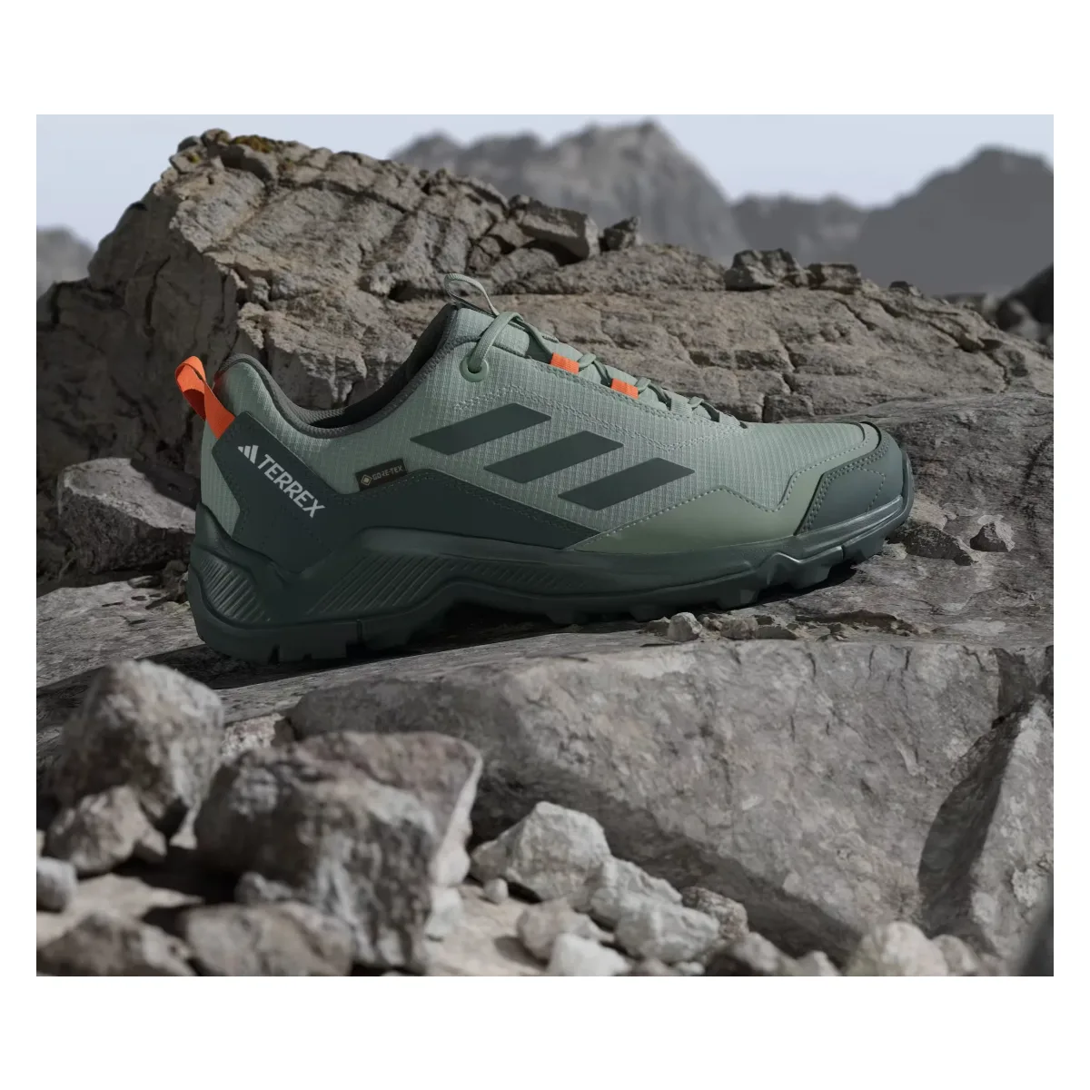 adidas Terrex Eastrail Gore-Tex Silver Green Legend Ivy