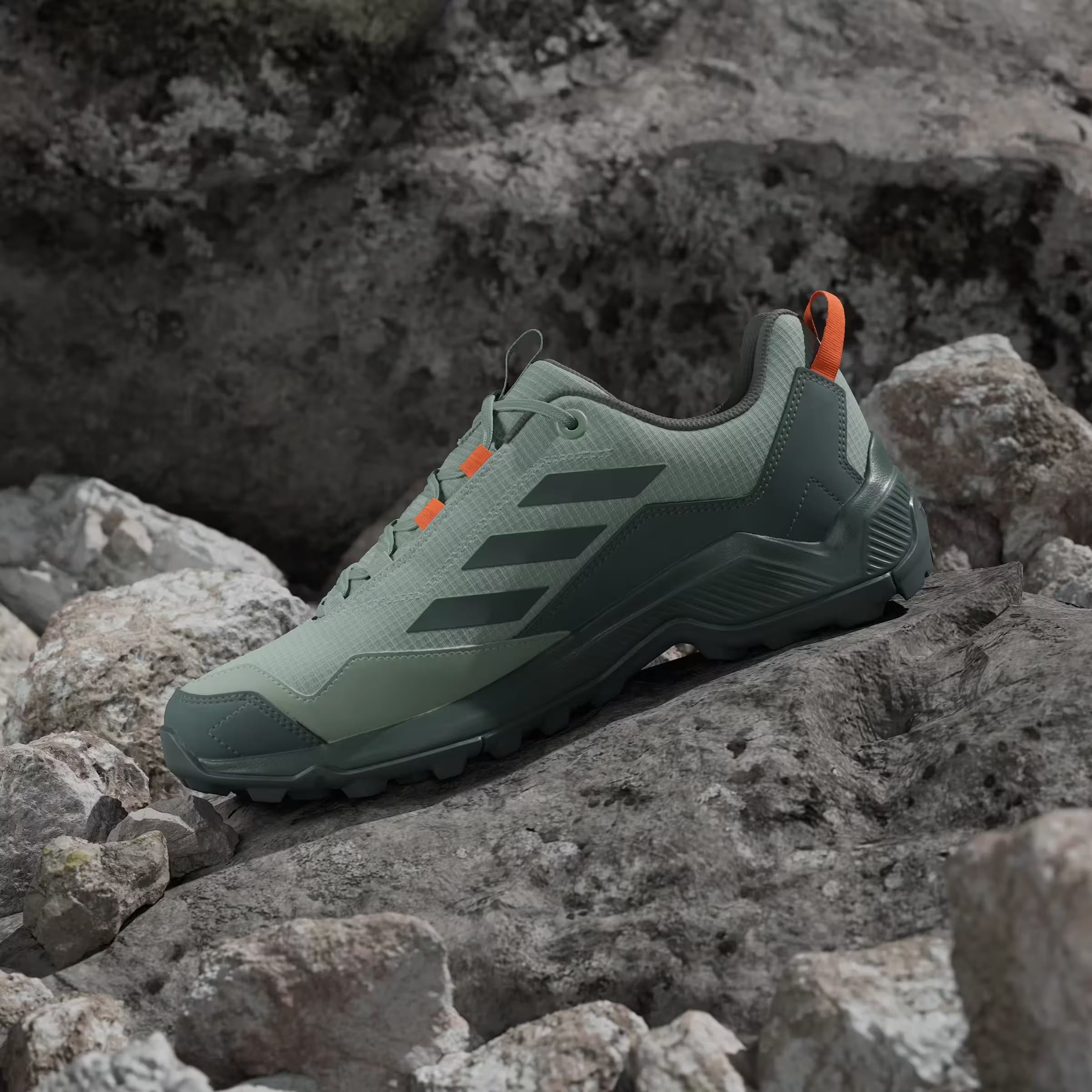 adidas Terrex Eastrail Gore-Tex Silver Green Legend Ivy