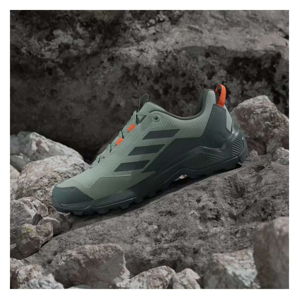 adidas Terrex Eastrail Gore-Tex Silver Green Legend Ivy
