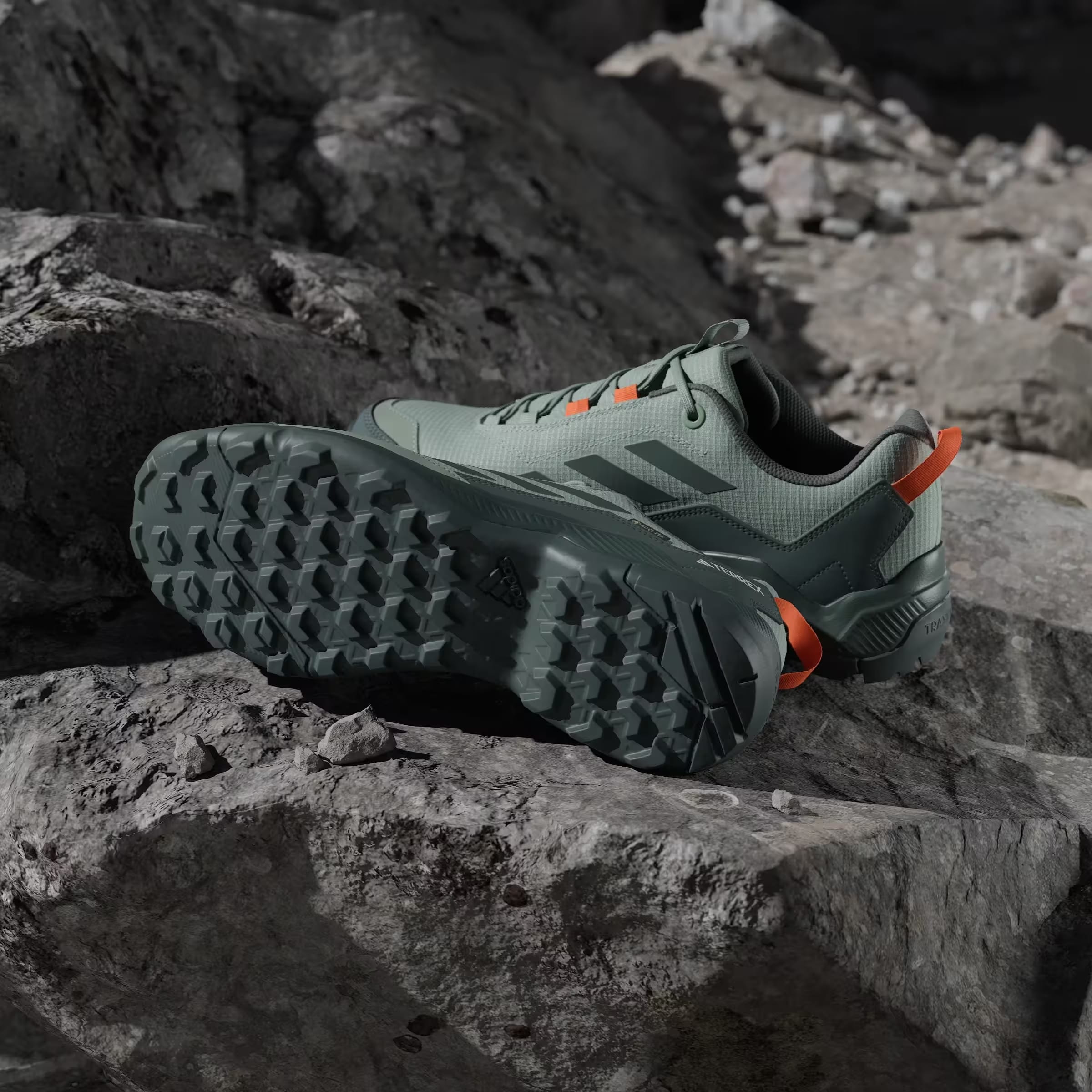 adidas Terrex Eastrail Gore-Tex Silver Green Legend Ivy