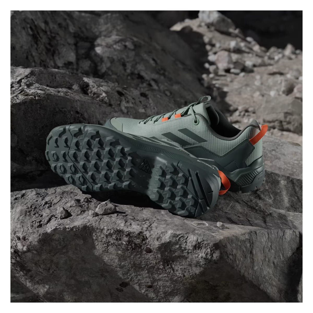 adidas Terrex Eastrail Gore-Tex Silver Green Legend Ivy