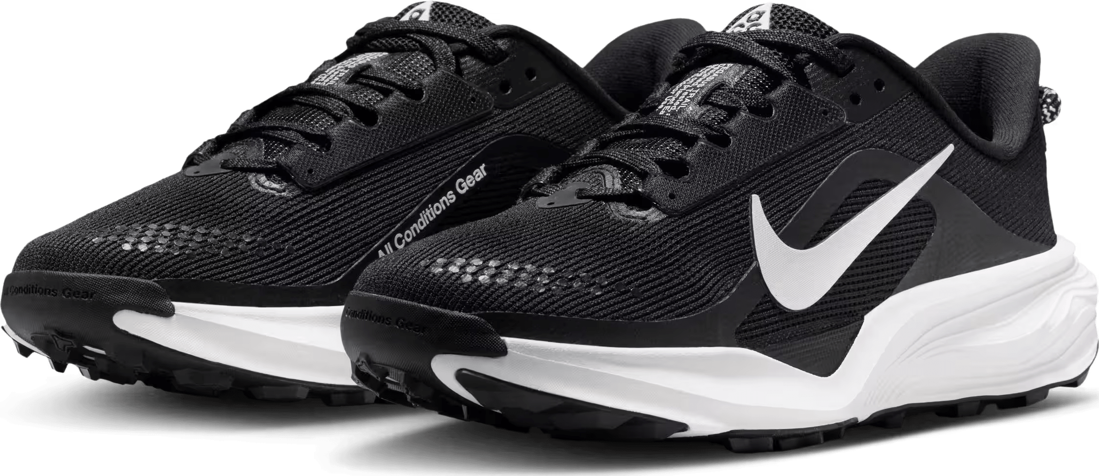 Nike ACG Pegasus Trail