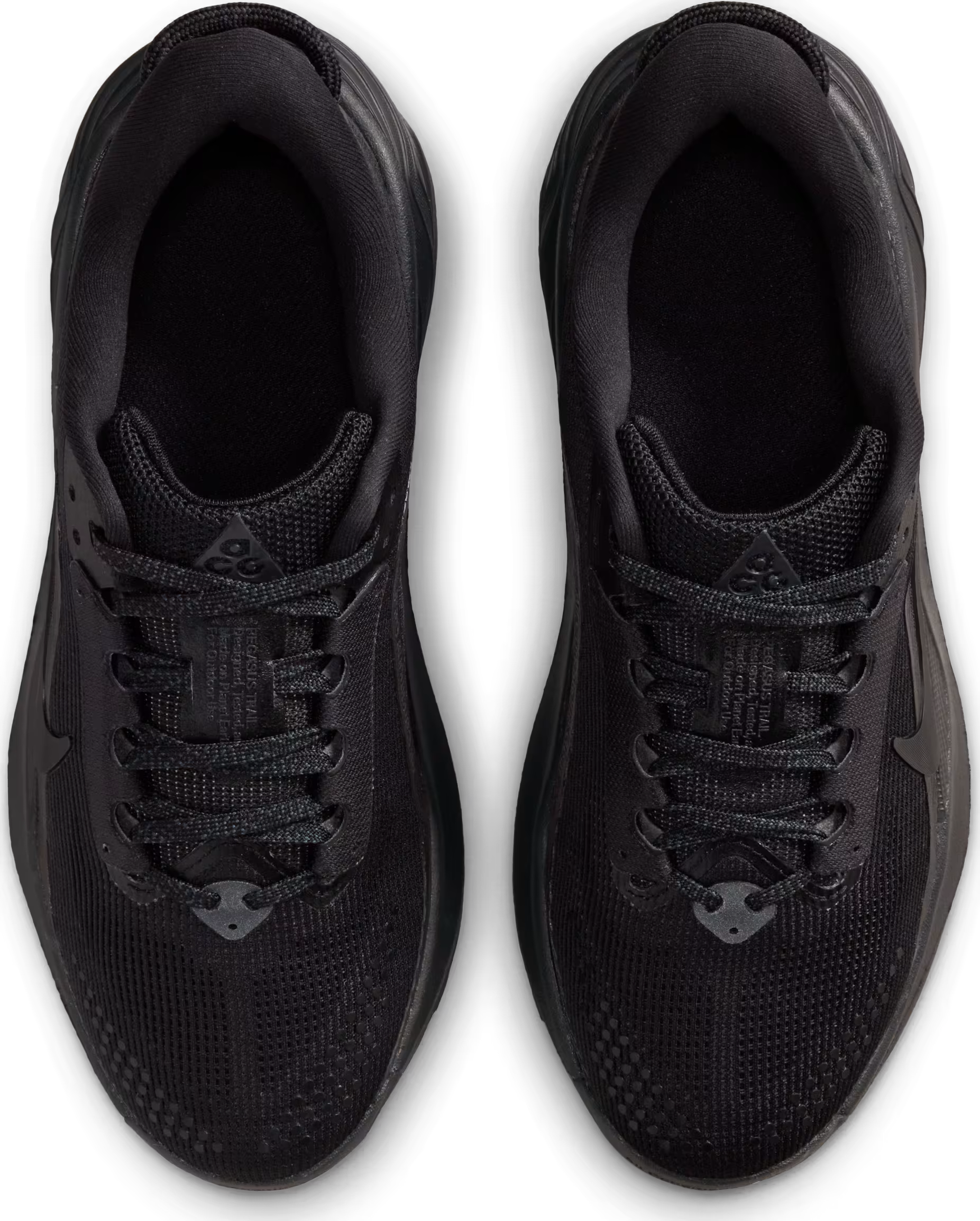 Nike ACG Pegasus Trail