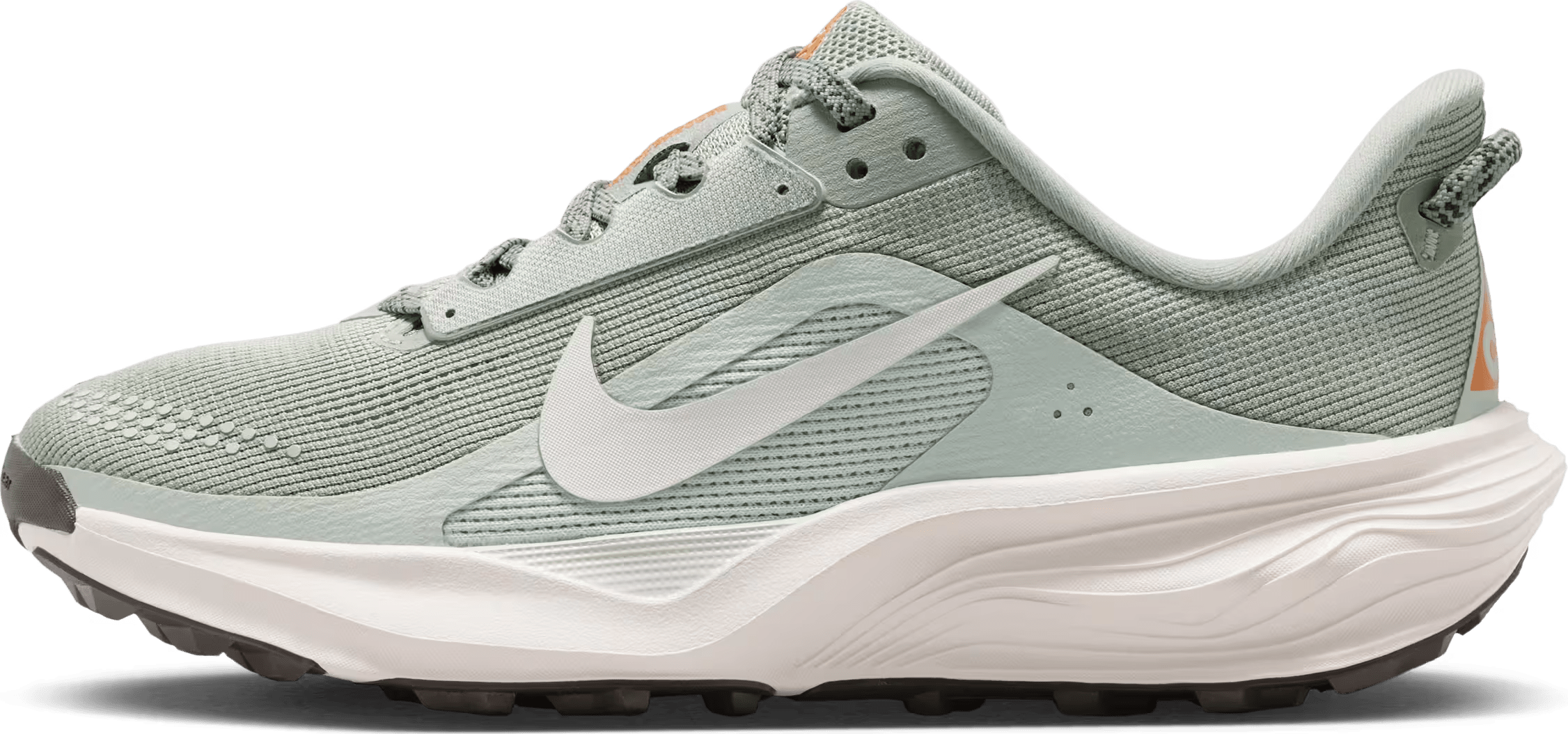 Nike ACG Pegasus Trail