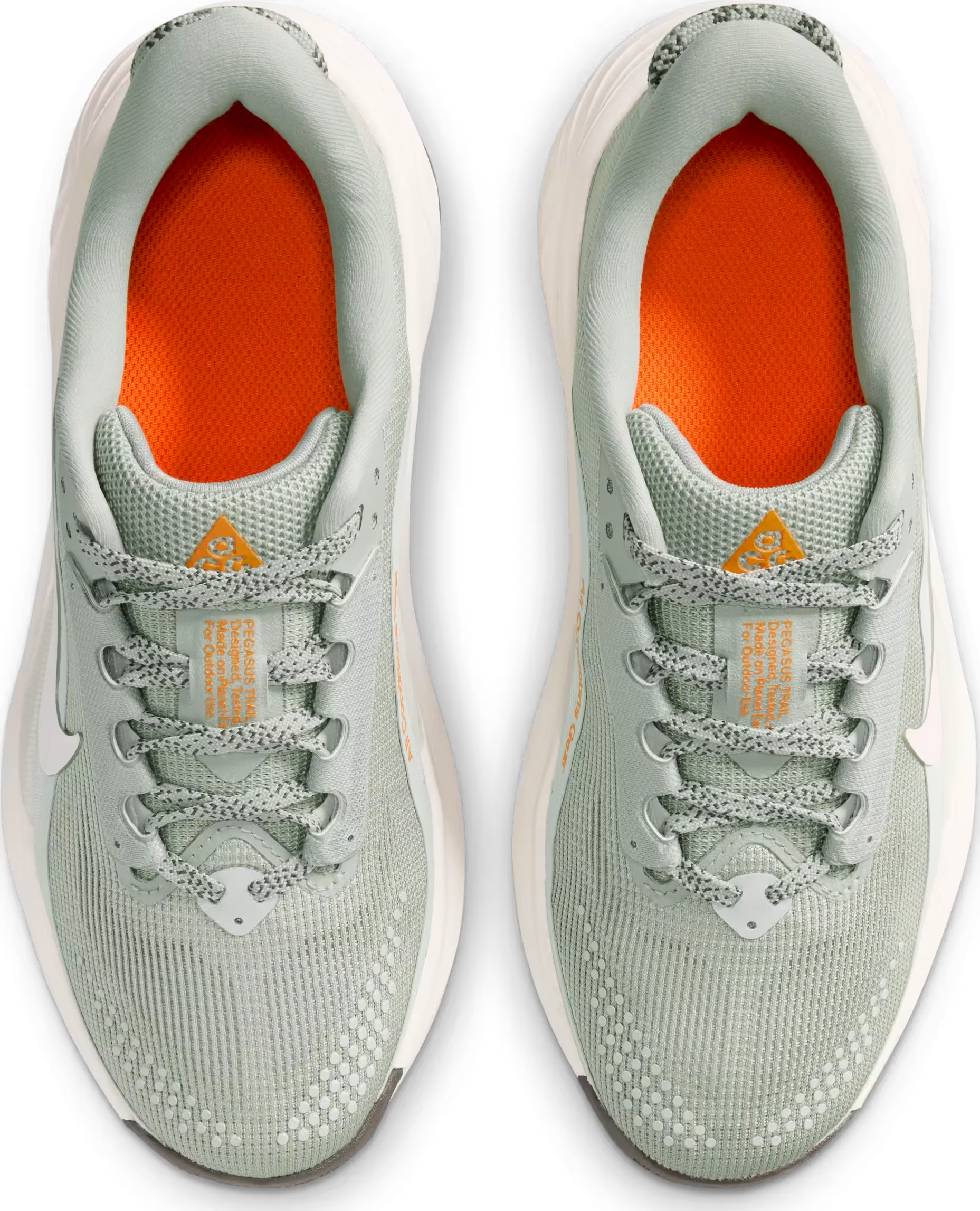 Nike ACG Pegasus Trail