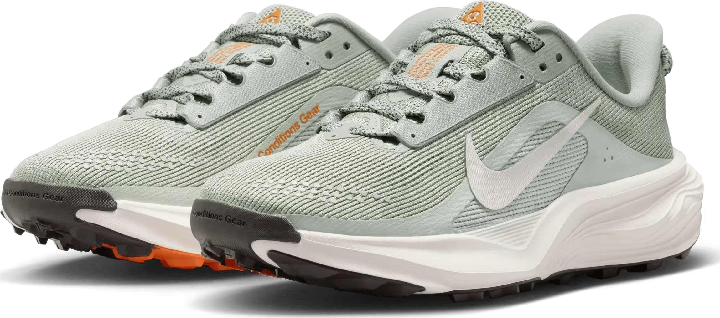 Nike ACG Pegasus Trail