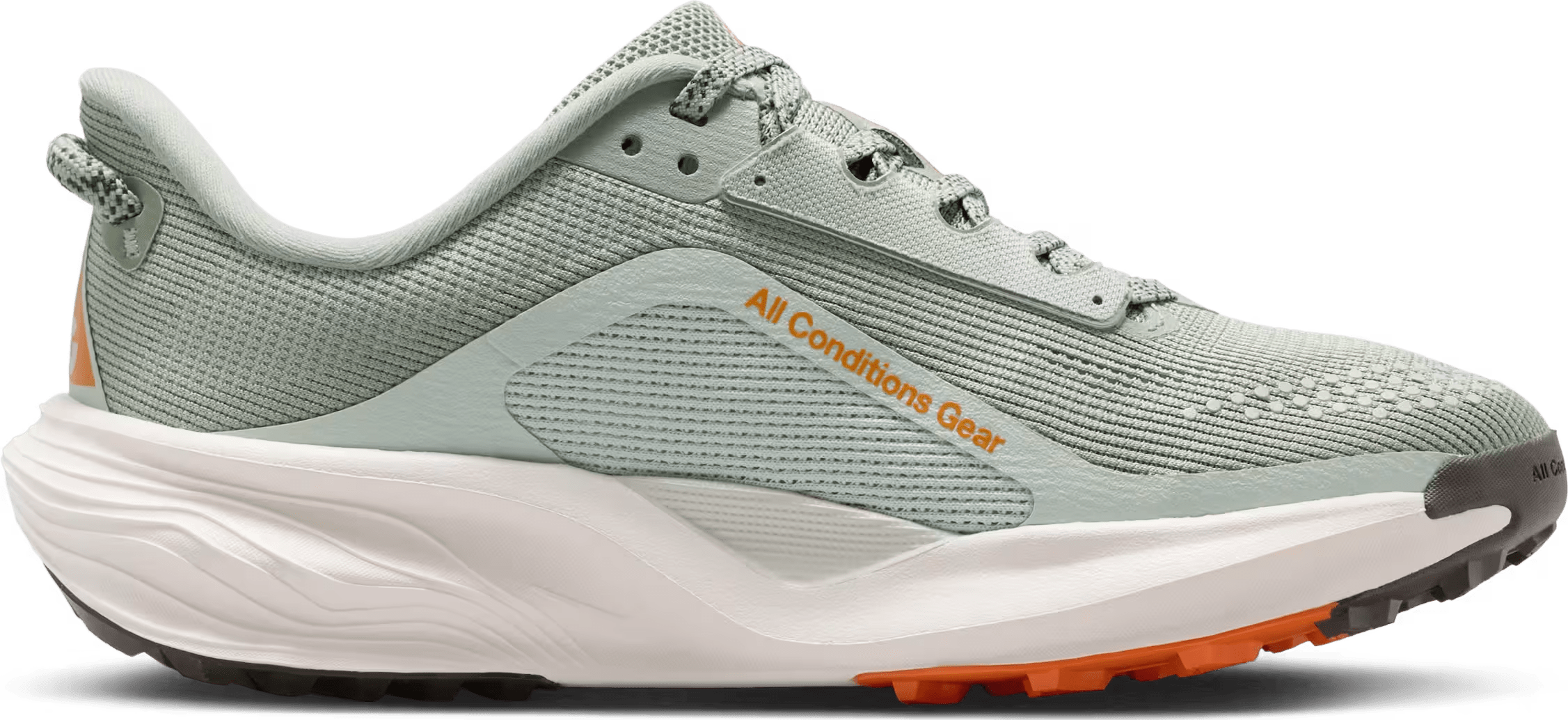 Nike ACG Pegasus Trail