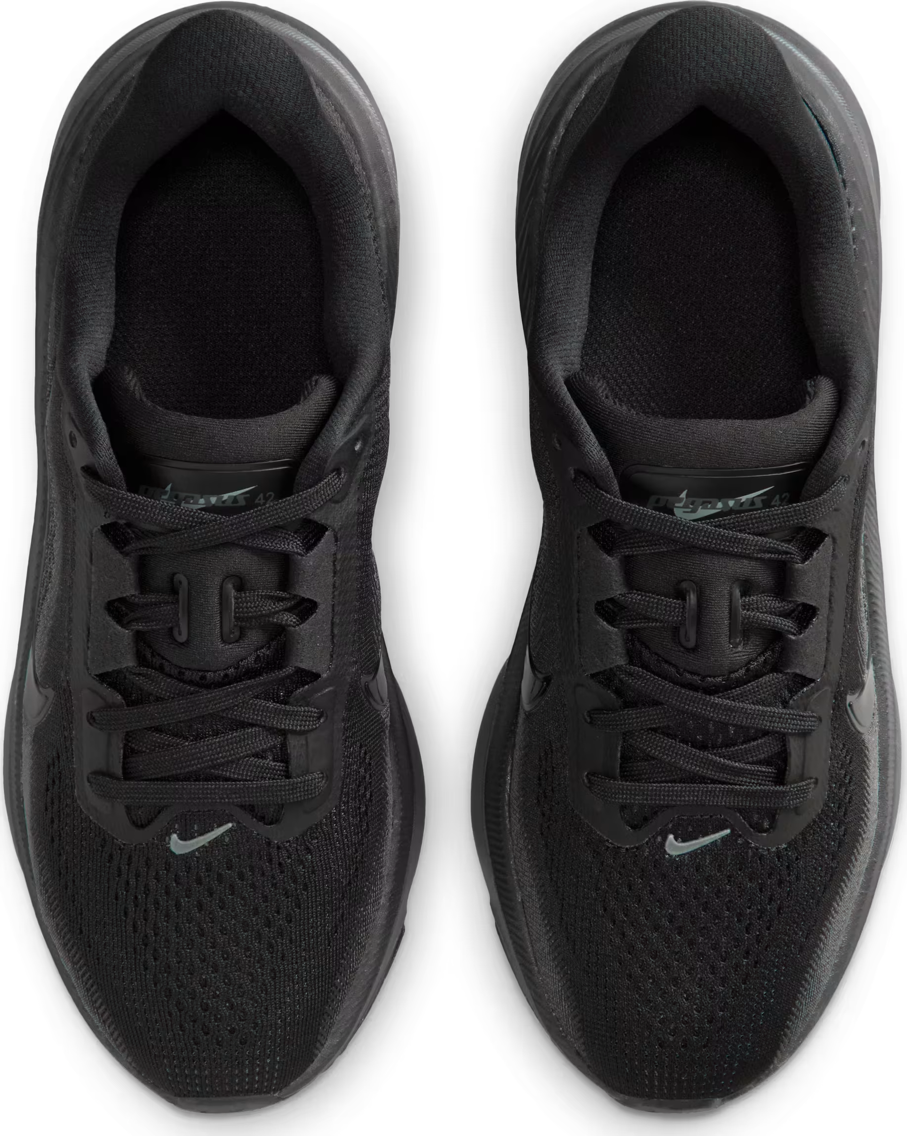 Nike Pegasus 42