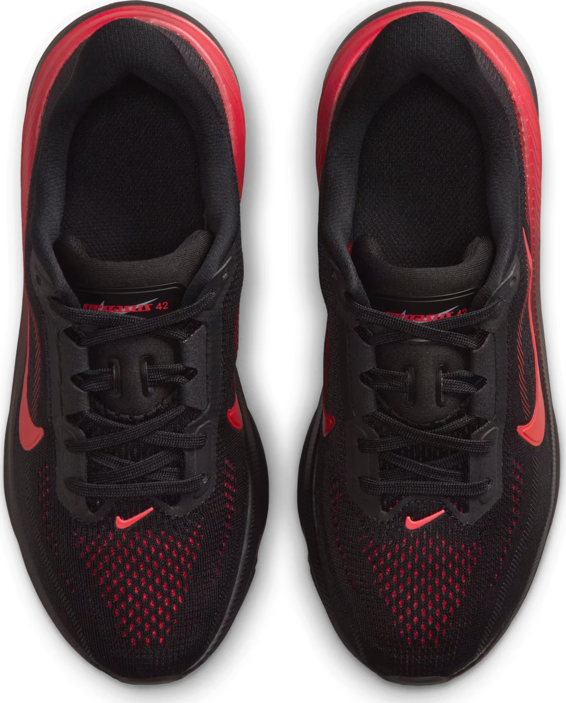 Nike Pegasus 42