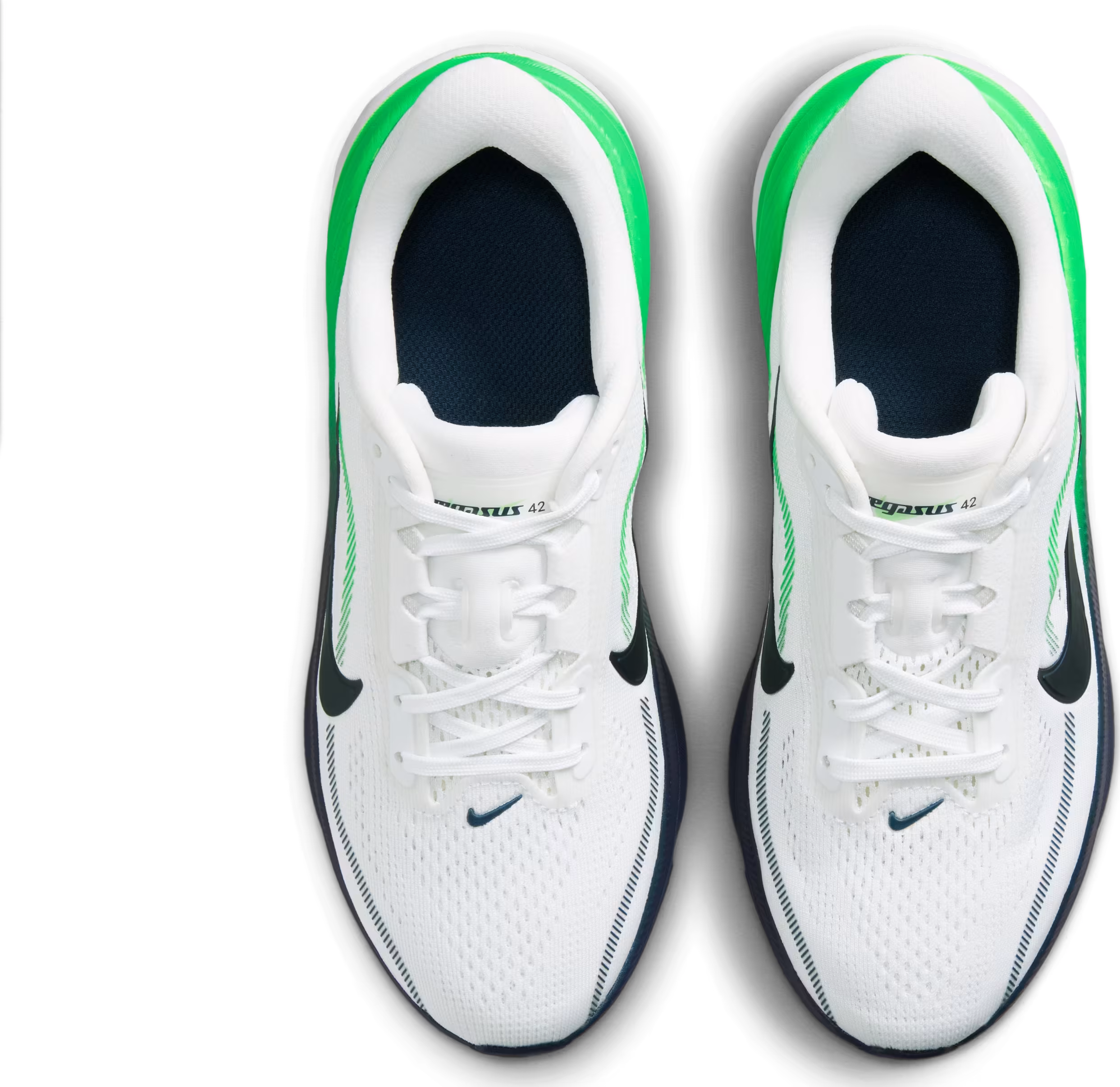 Nike Pegasus 42