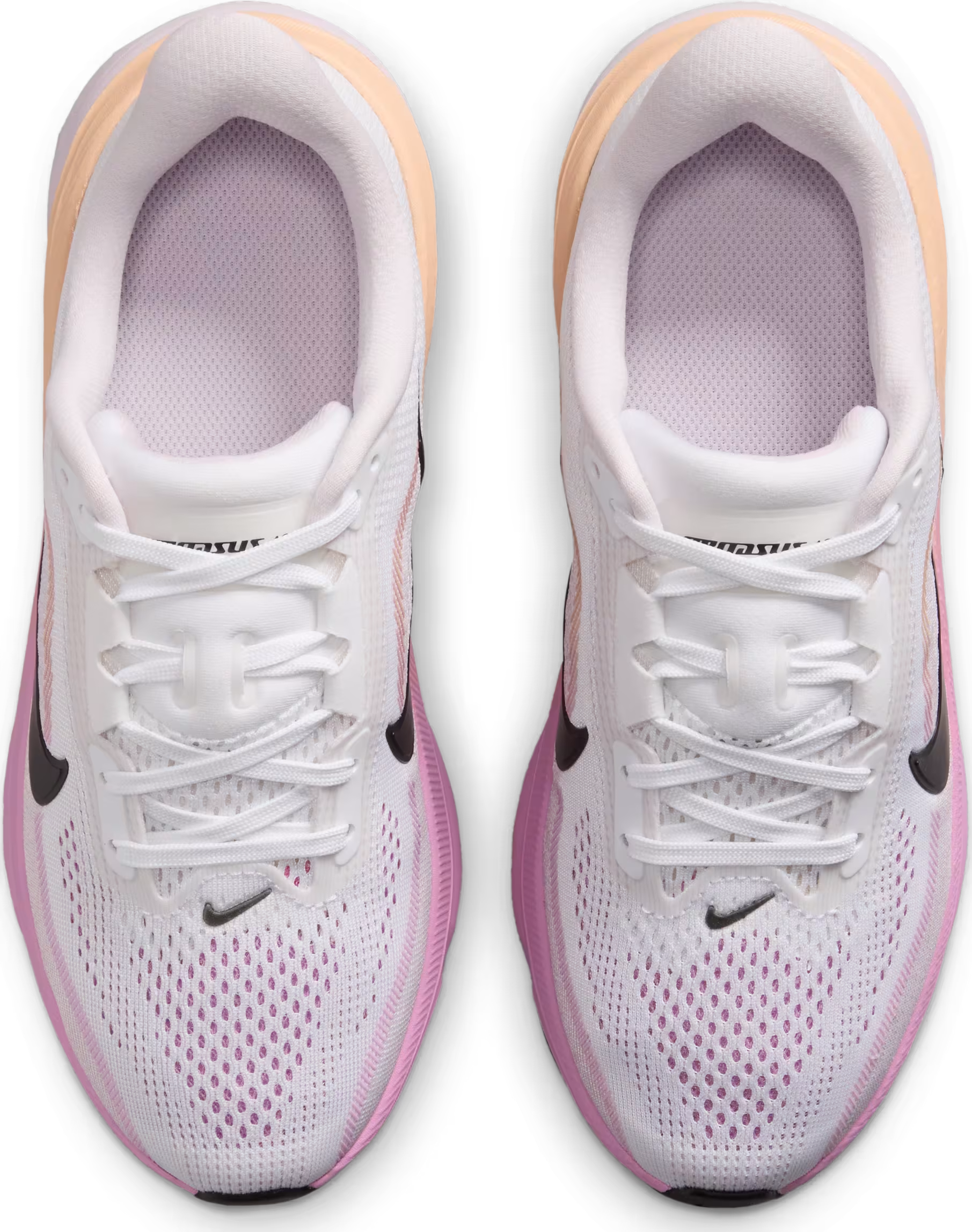 Nike Pegasus 42