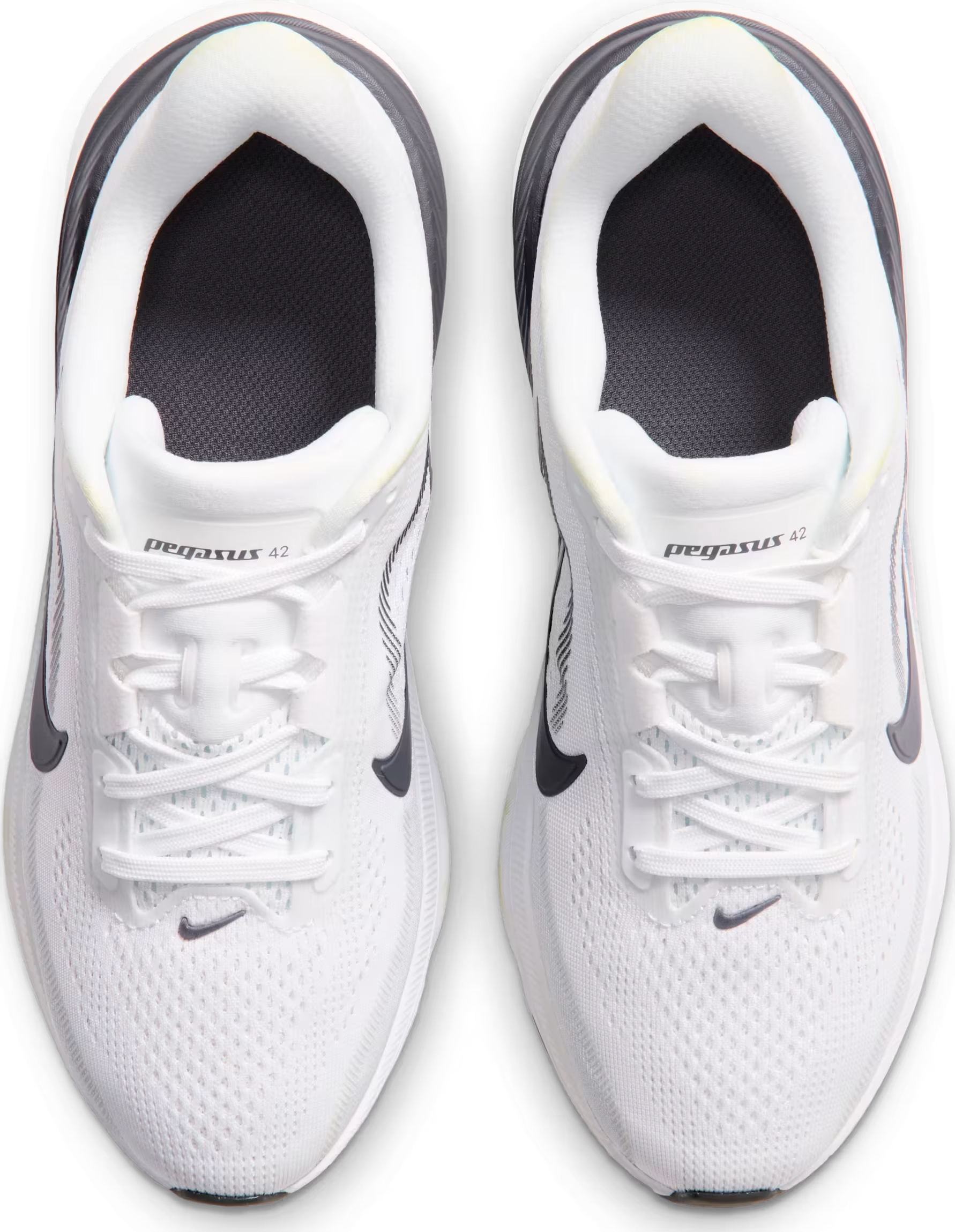 Nike Pegasus 42