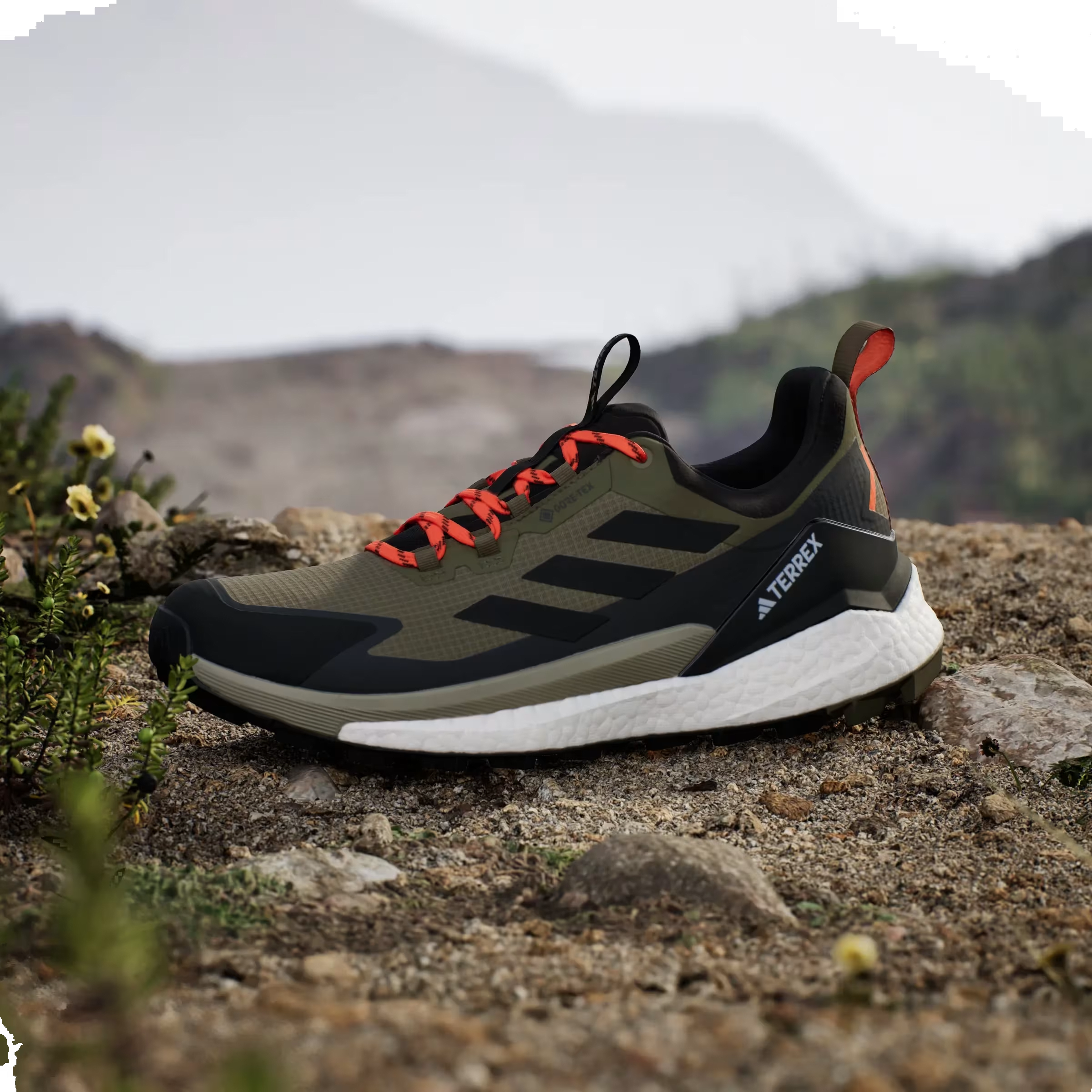 adidas Terrex Free Hiker 2.0 Low Gore-Tex Olive Strata Core Black Carbon