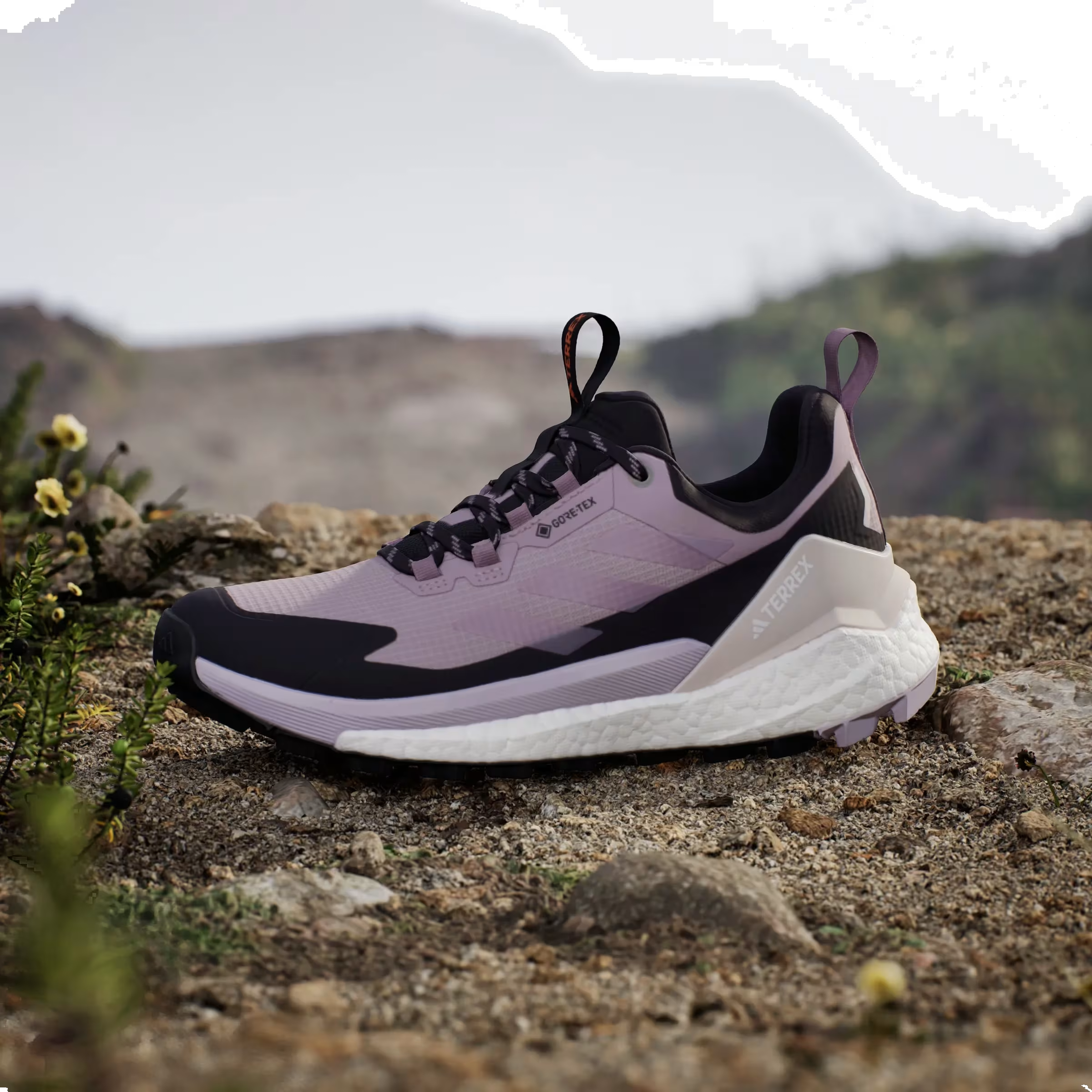 adidas Terrex Free Hiker 2.0 Low Gore-Tex Preloved Fig (Women's)