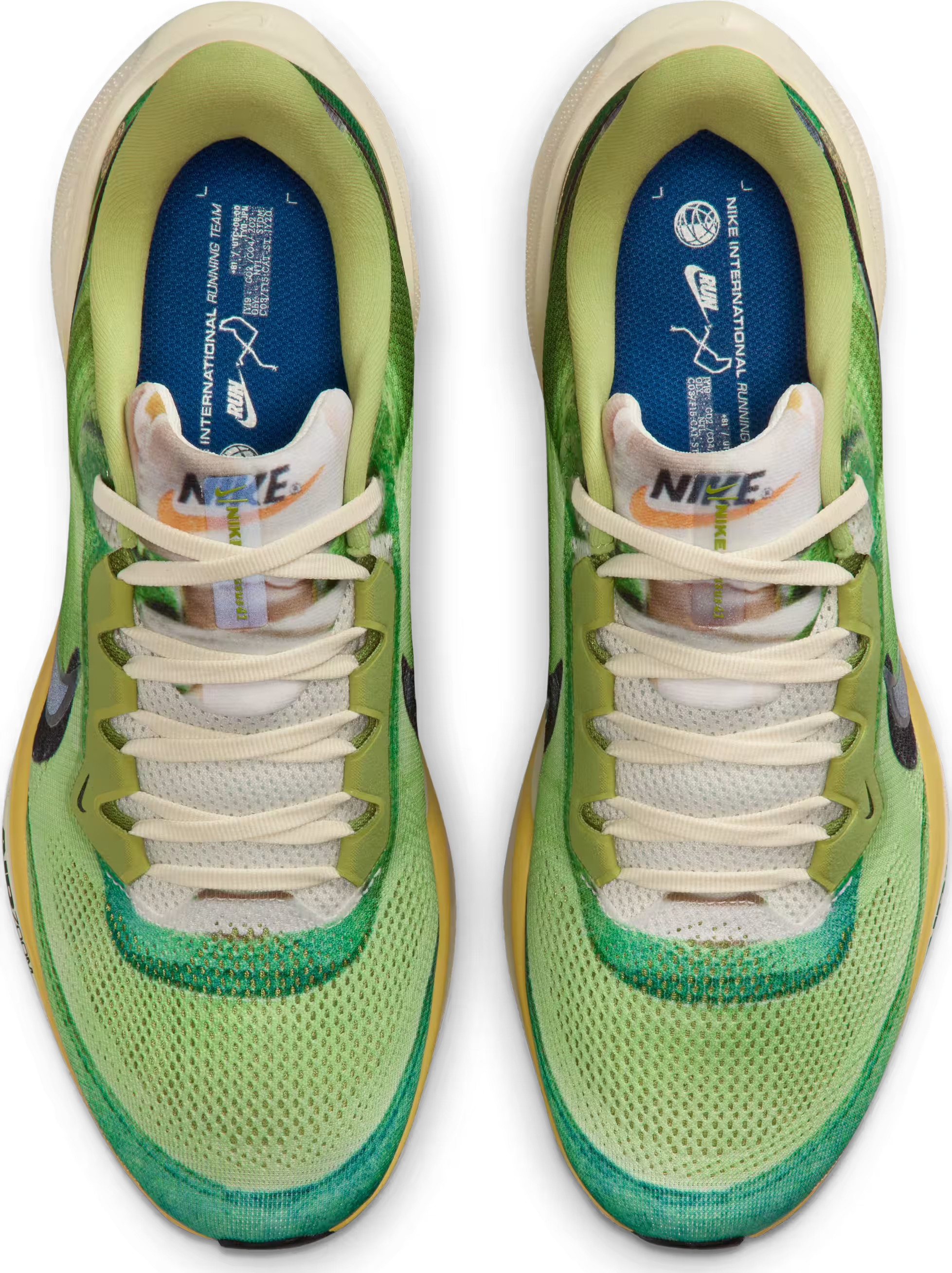 Nike Pegasus 41 SE "Dark Apple"