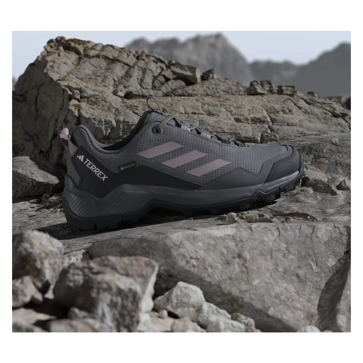 adidas Terrex Eastrail Gore-Tex Grey Five Preloved Fig (Women's)