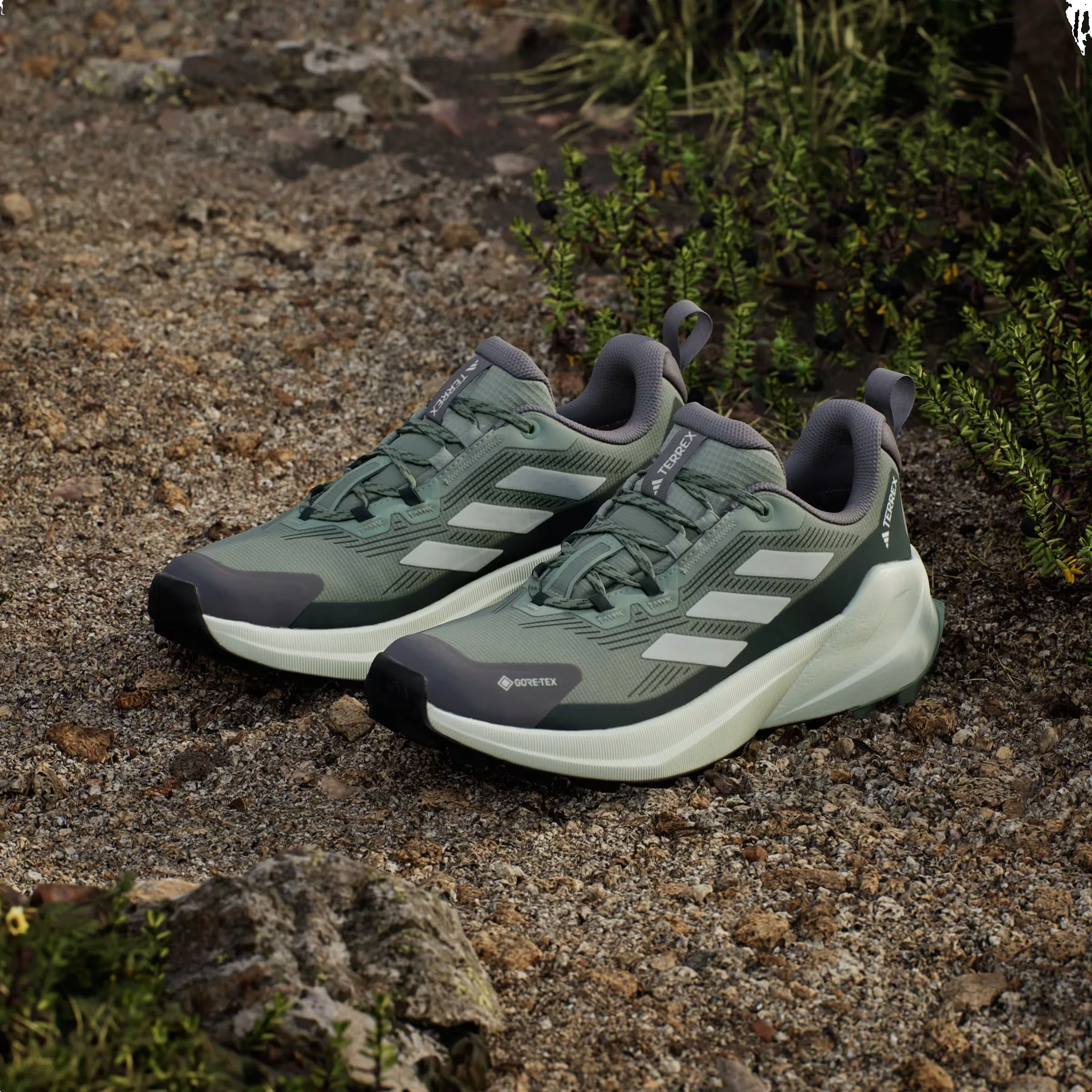 adidas Terrex Trailmaker 2.0 Gore-Tex Silver Green Linen Green Legend Ivy (Women's)