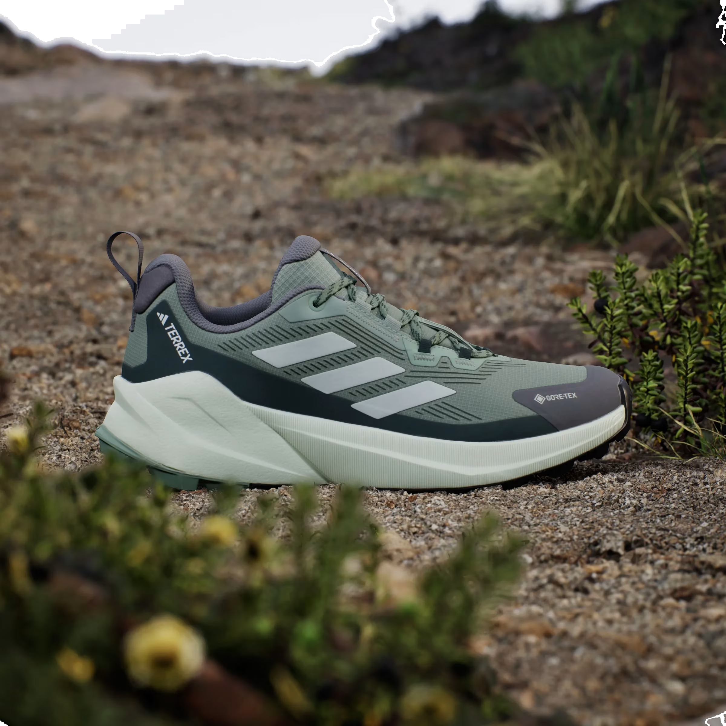 adidas Terrex Trailmaker 2.0 Gore-Tex Silver Green Linen Green Legend Ivy (Women's)