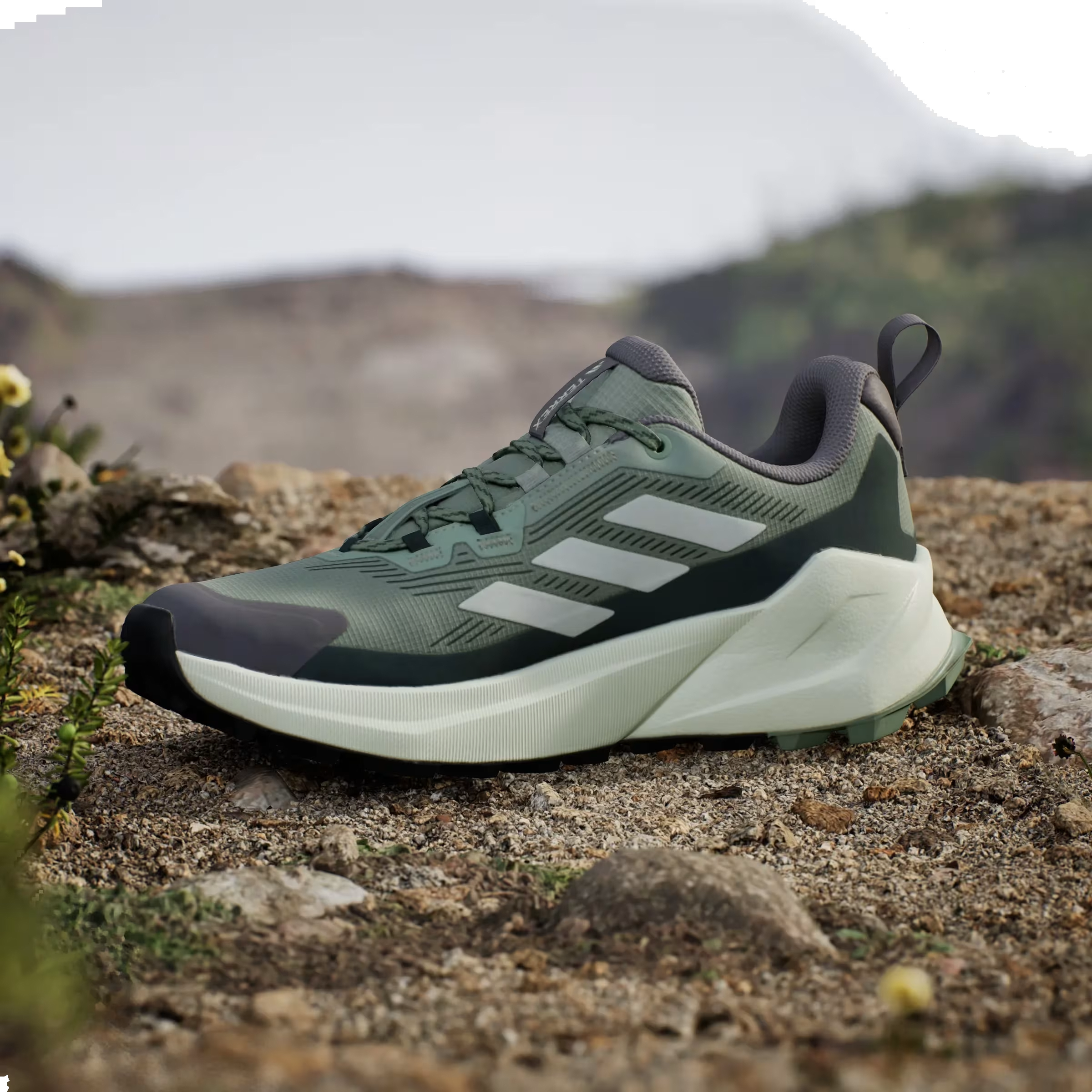 adidas Terrex Trailmaker 2.0 Gore-Tex Silver Green Linen Green Legend Ivy (Women's)