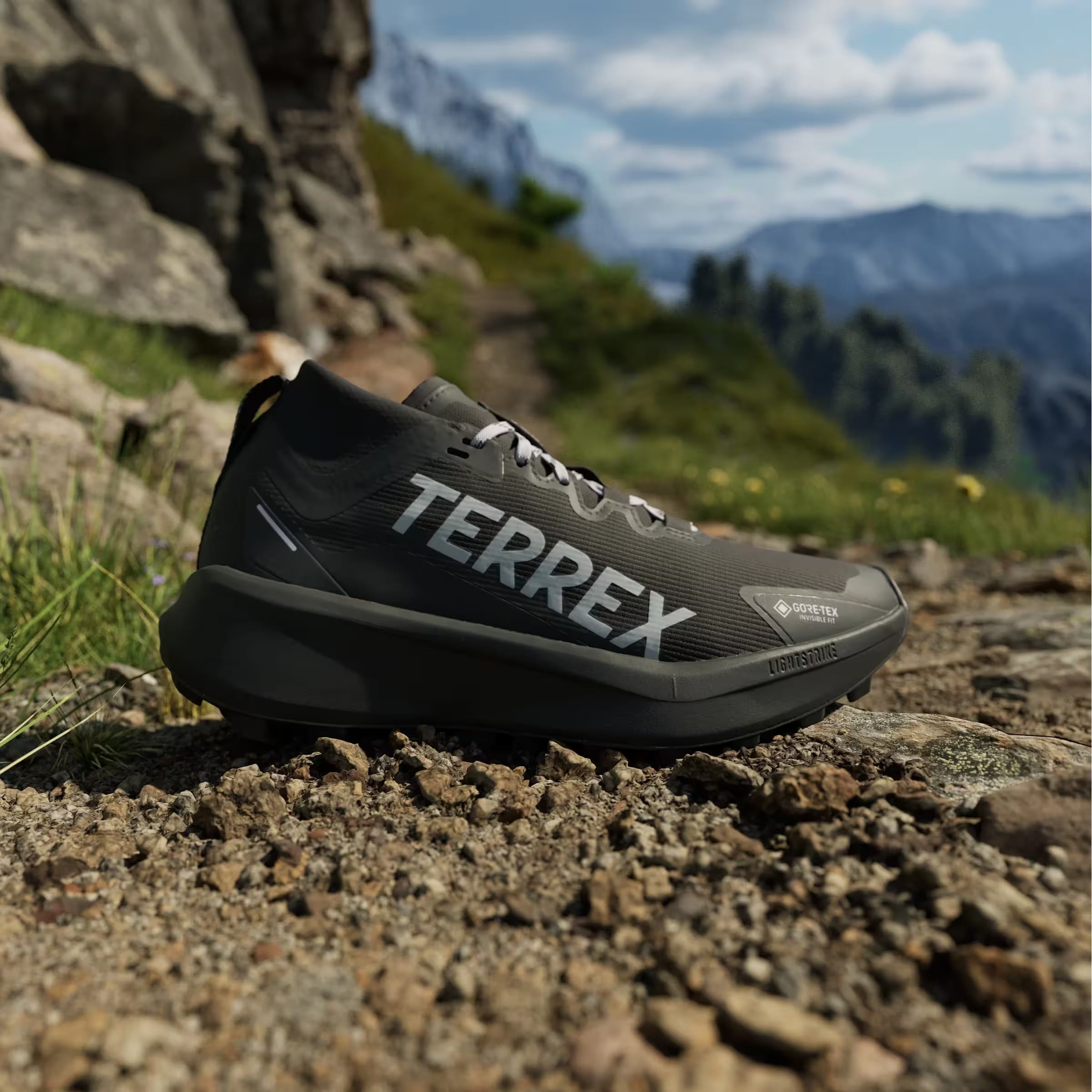 adidas Terrex Agravic Gore-Tex Trail Core Black Silver Dawn Grey Two (Women's)