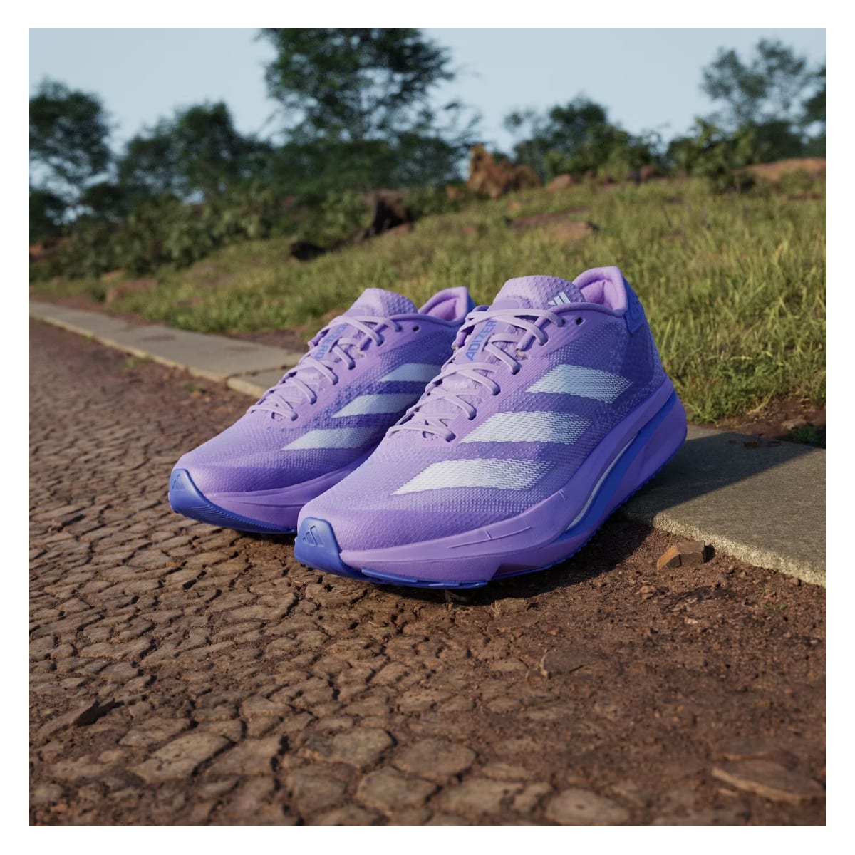 adidas Adizero SL2 Violet Fusion Lucid Lemon Cobalt Blue (Women's)