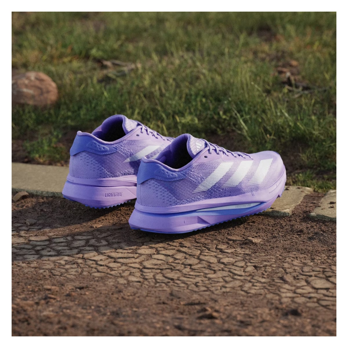 adidas Adizero SL2 Violet Fusion Lucid Lemon Cobalt Blue (Women's)