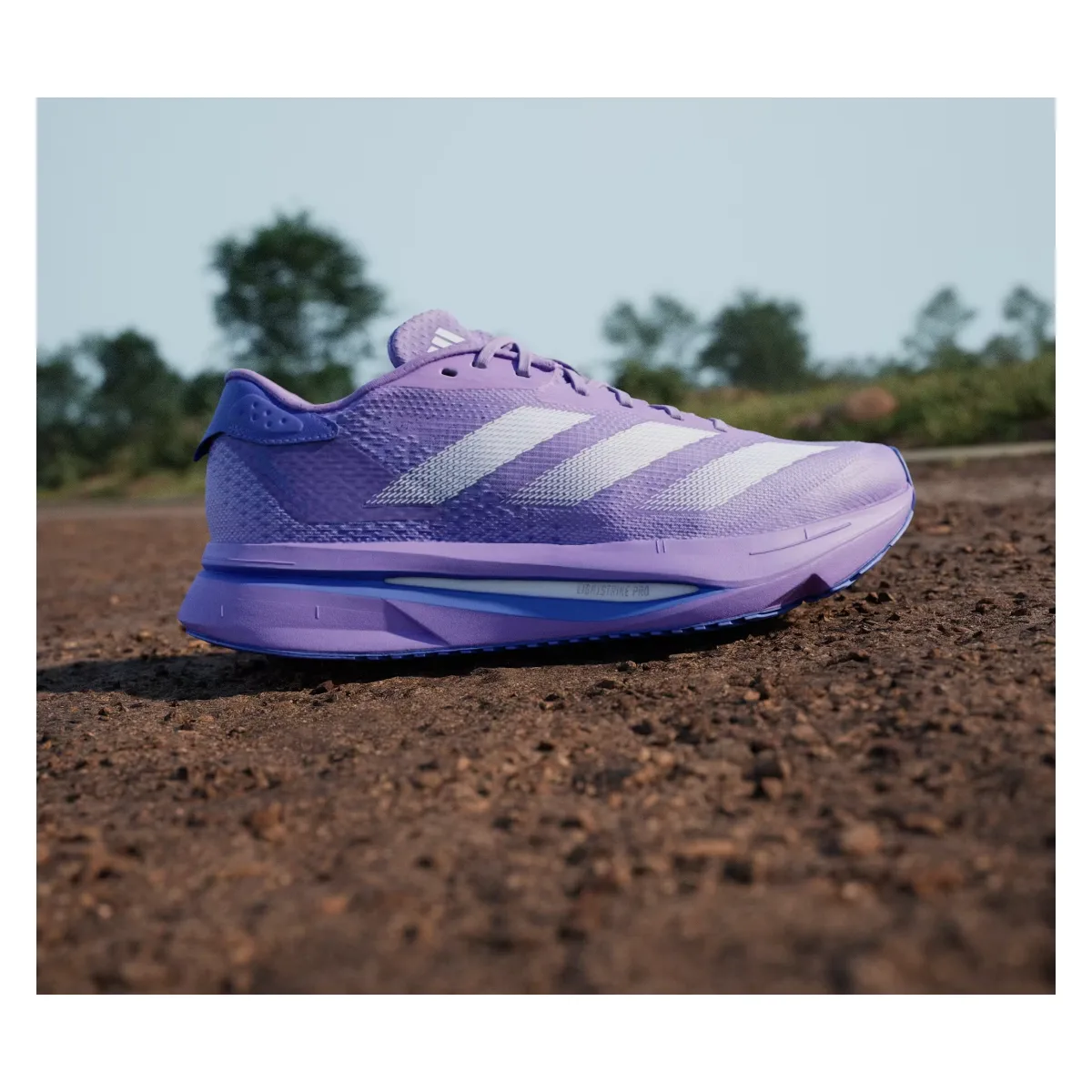 adidas Adizero SL2 Violet Fusion Lucid Lemon Cobalt Blue (Women's)
