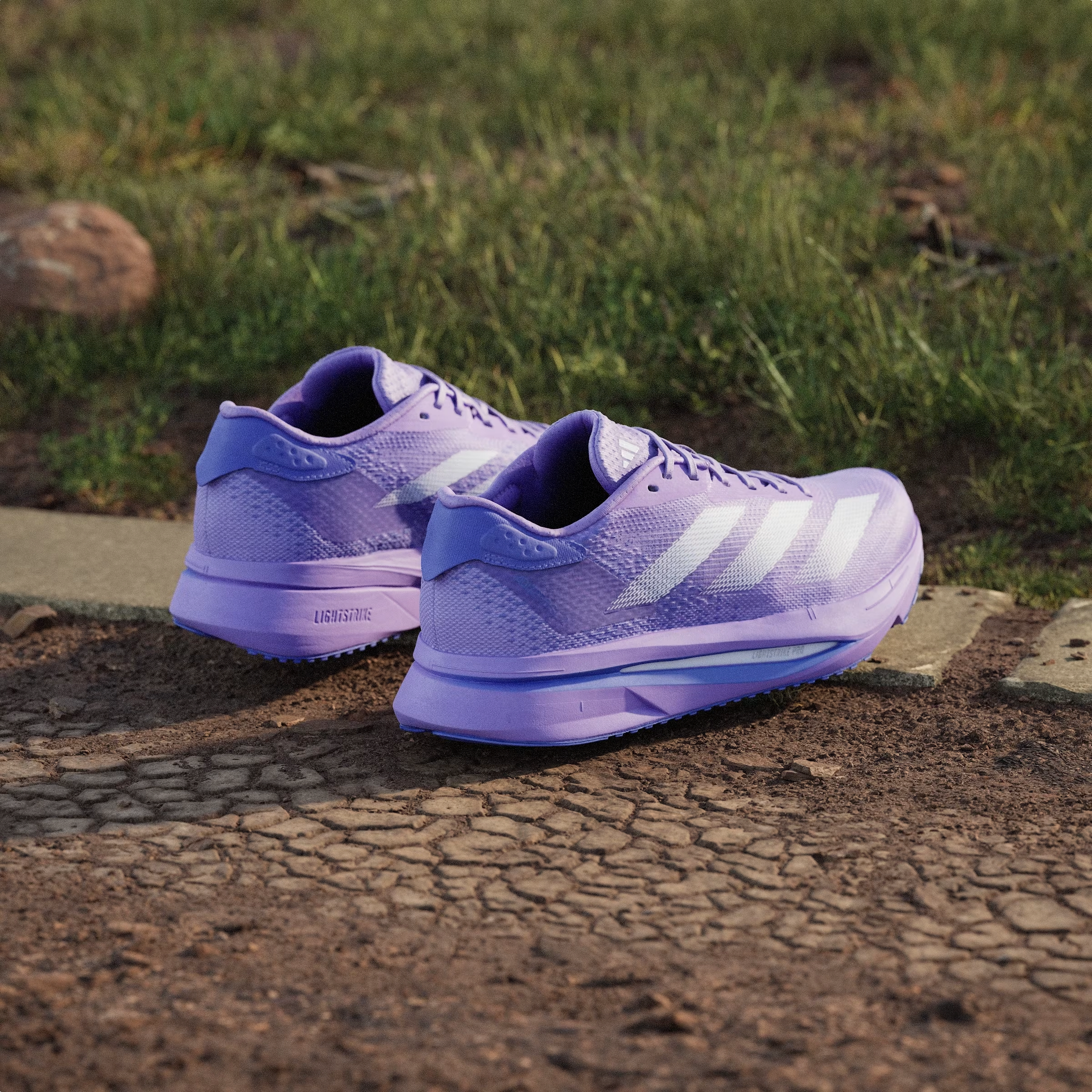 adidas Adizero SL2 Violet Fusion Lucid Lemon Cobalt Blue (Women's)