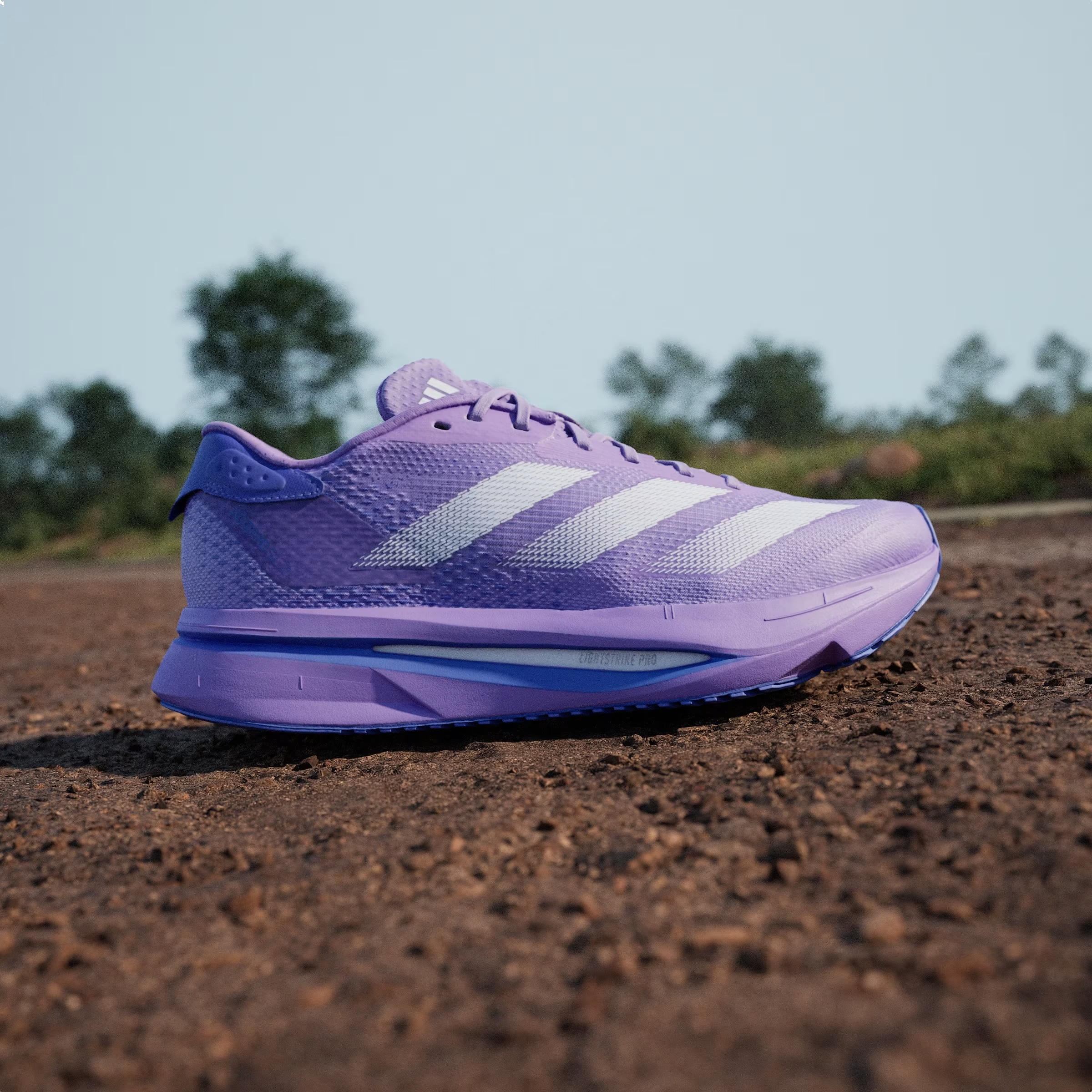 adidas Adizero SL2 Violet Fusion Lucid Lemon Cobalt Blue (Women's)