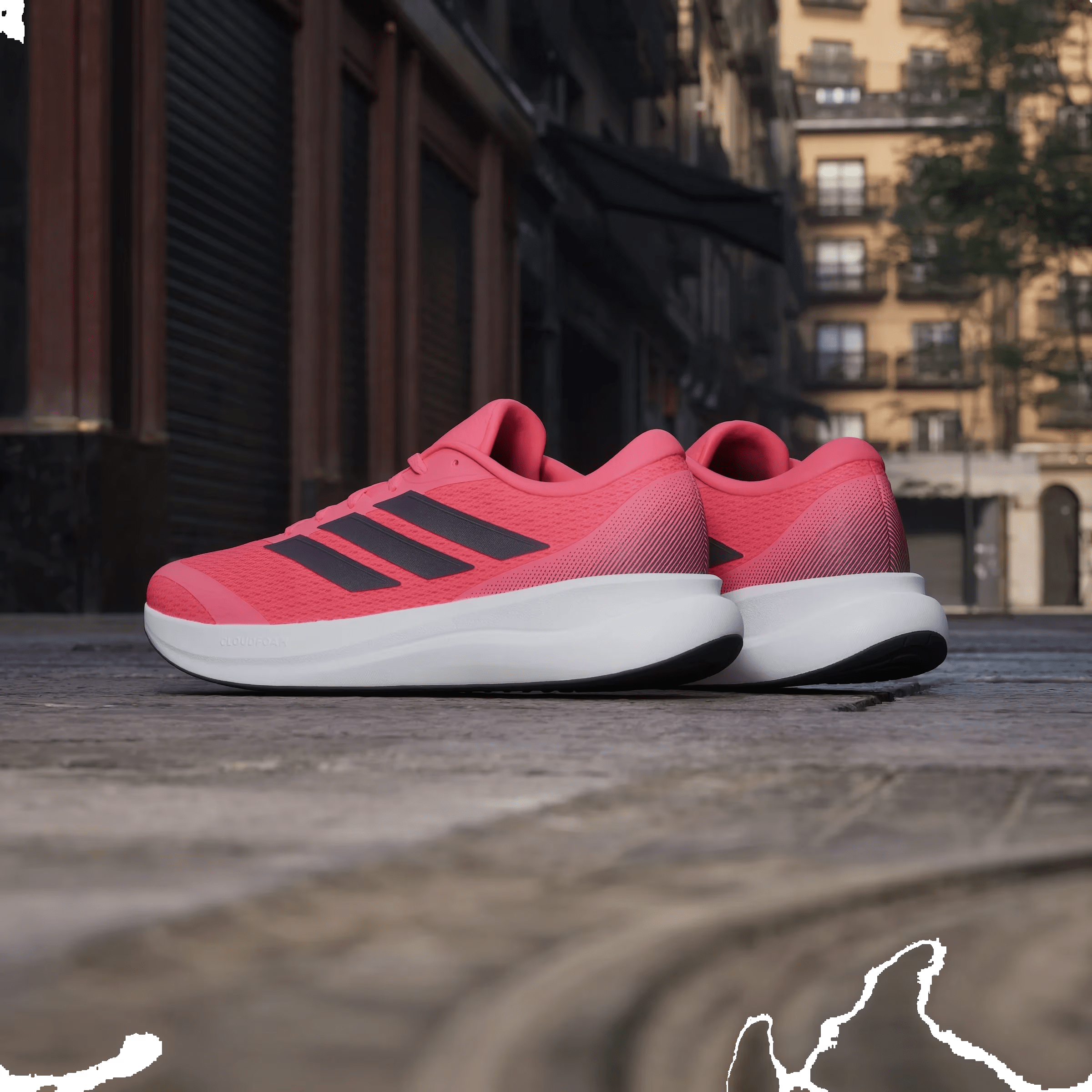 adidas Runfalcon 6 CLOUDFOAM