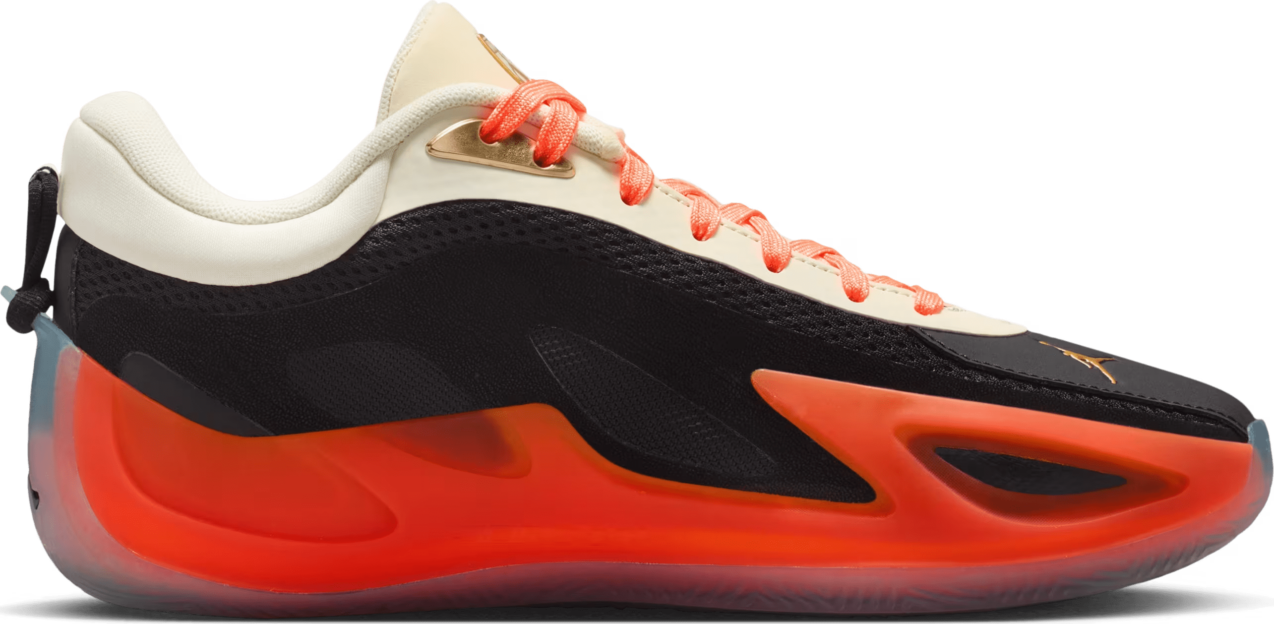 Air Jordan Heir Series 2 "Birds of Paradise"
