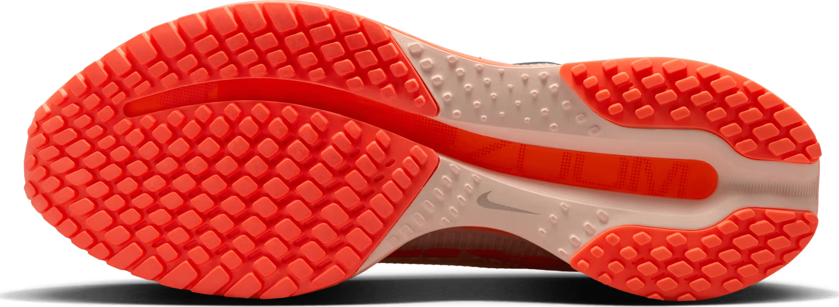 Nike Pegasus Premium "Washed Coral"