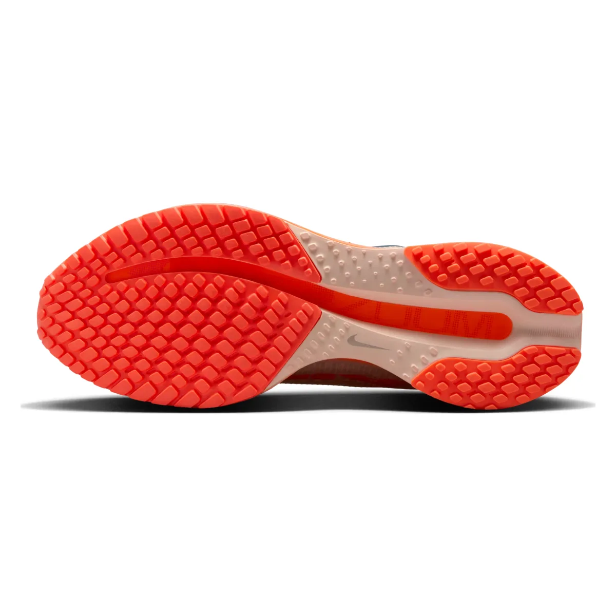 Nike Pegasus Premium "Washed Coral"