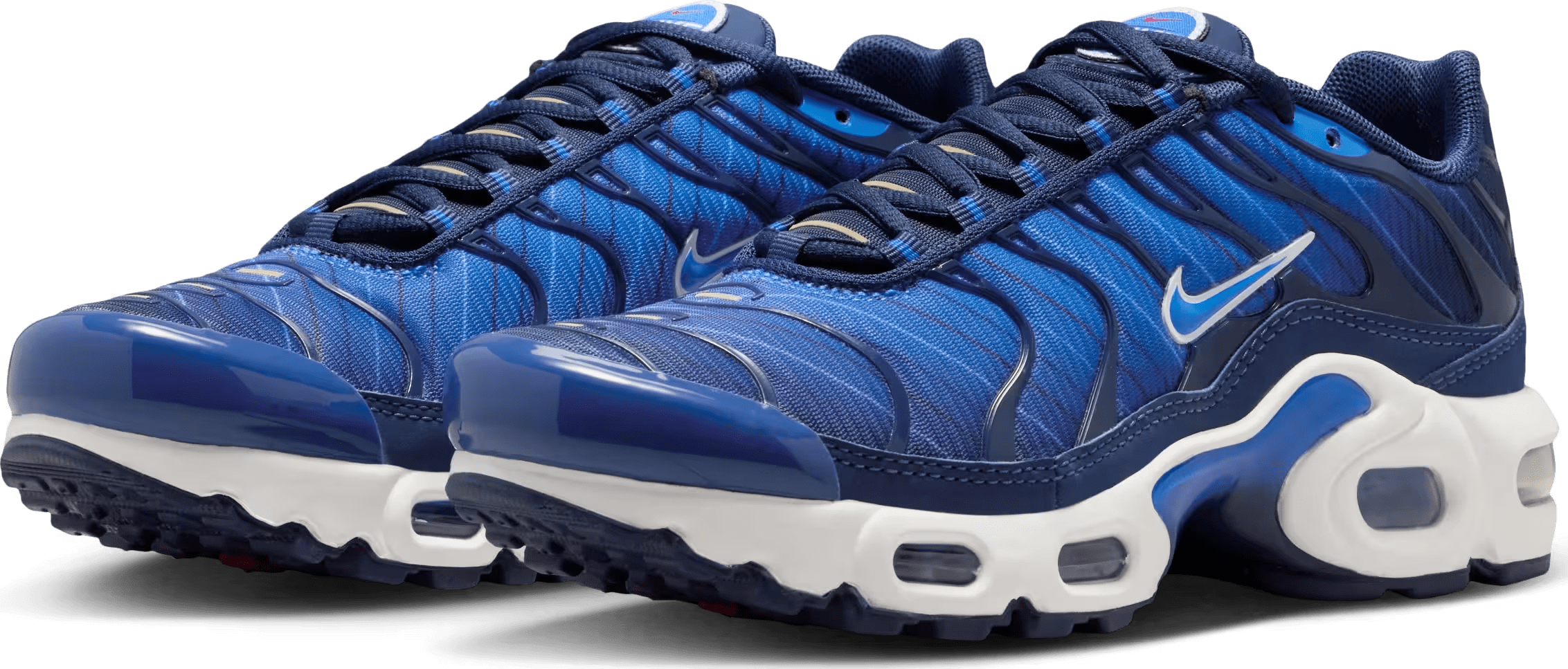 Nike Air Max Plus SE