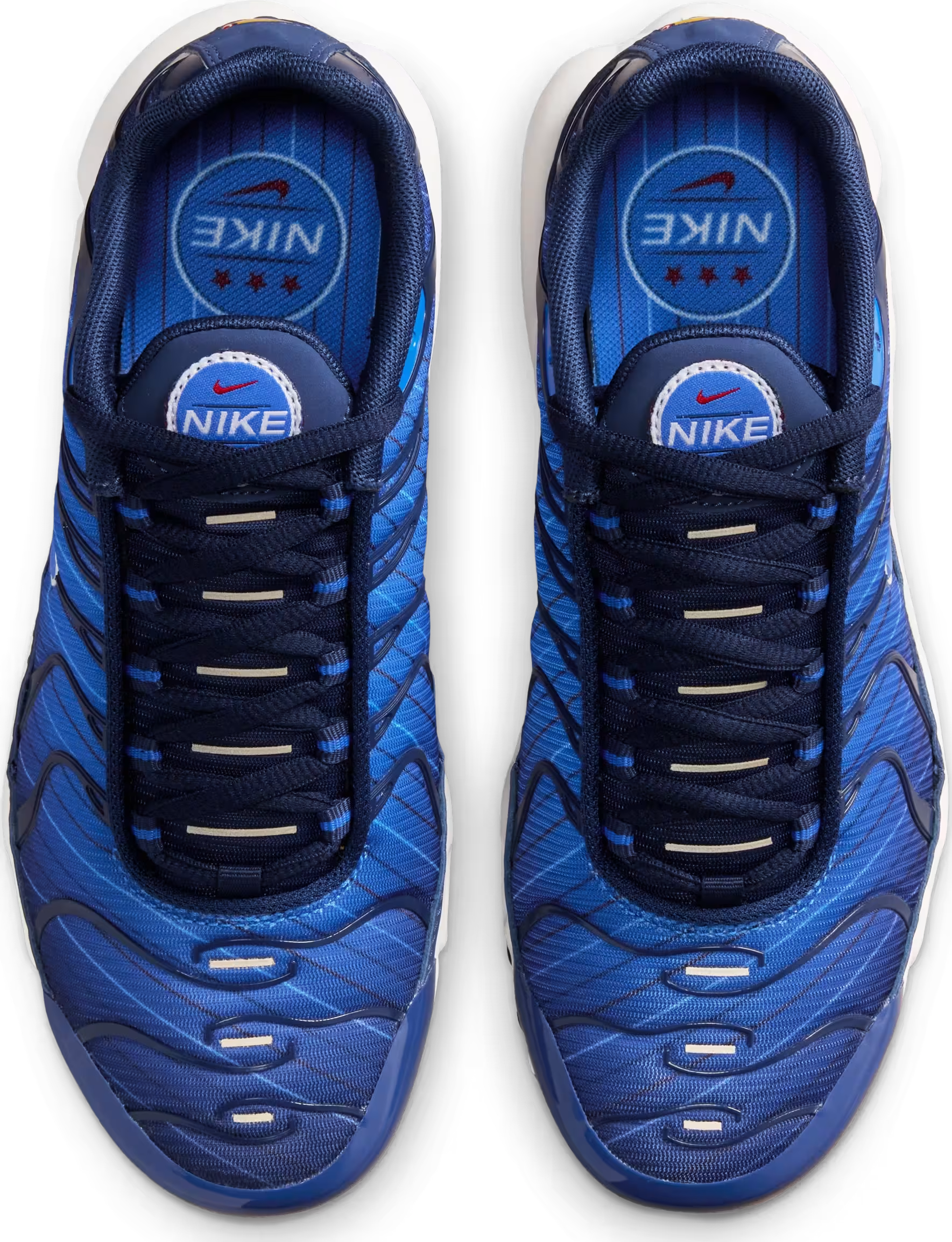 Nike Air Max Plus SE
