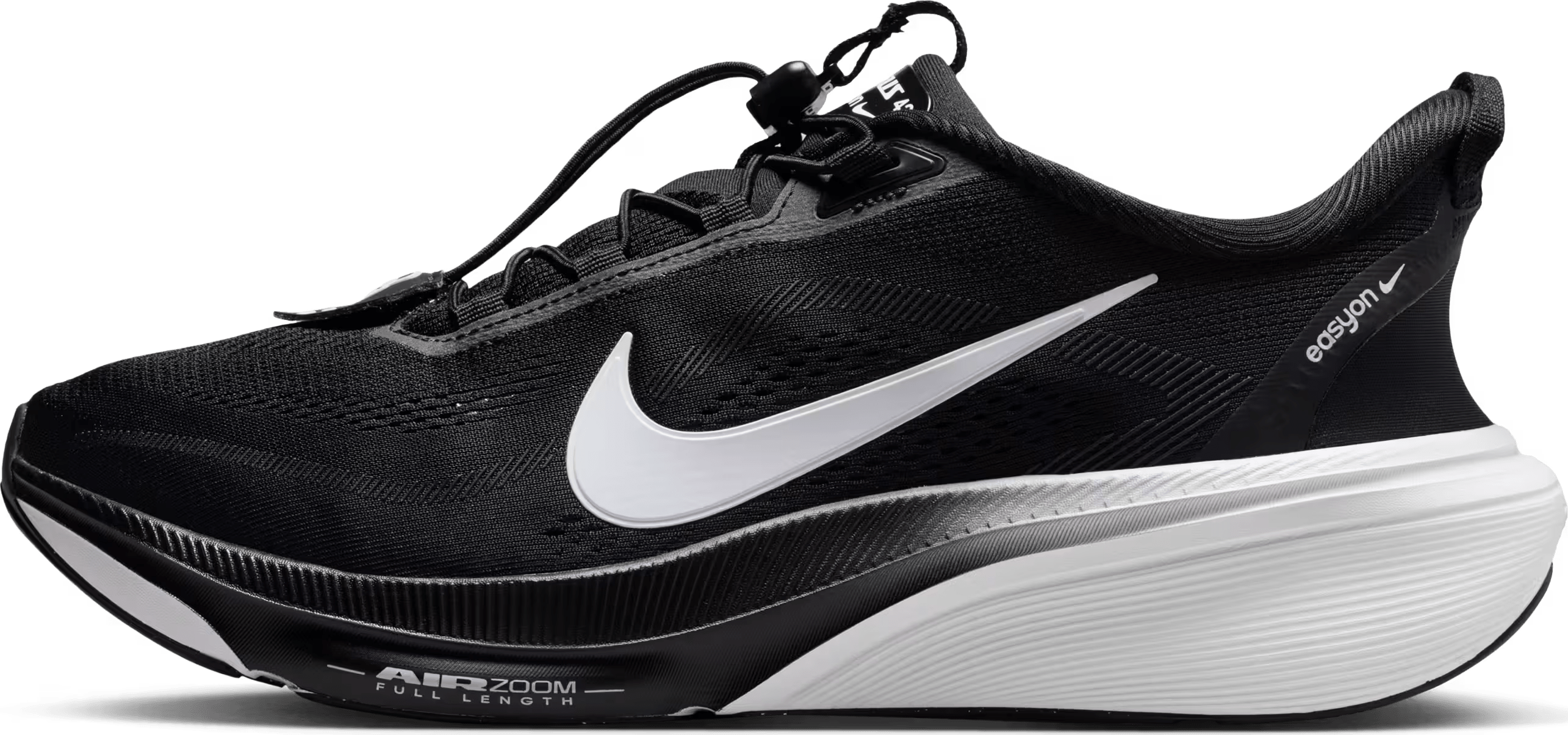 Nike Pegasus 42 EasyOn