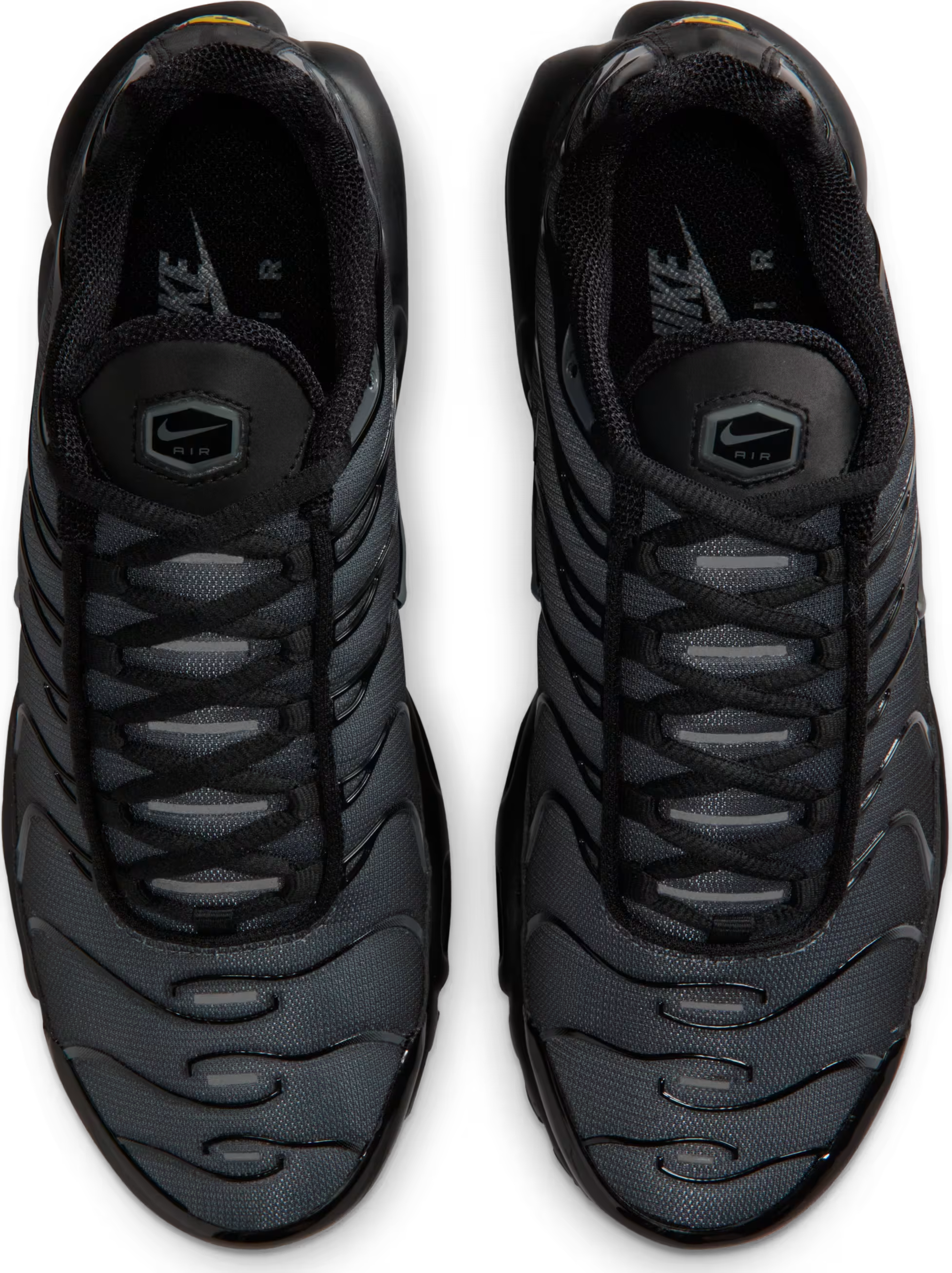 Nike Air Max Plus Wmns "Black Dark Grey"