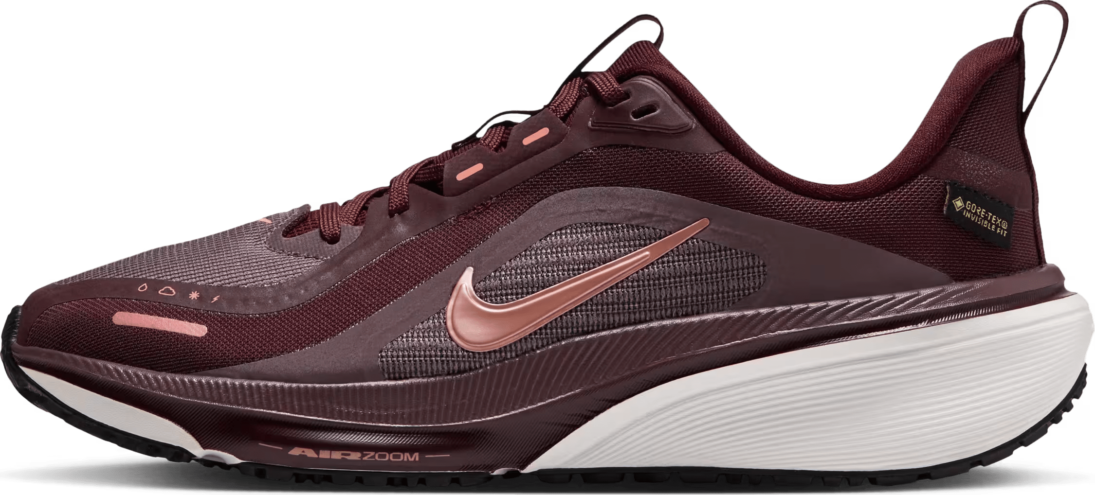 Nike Pegasus 42 GORE-TEX