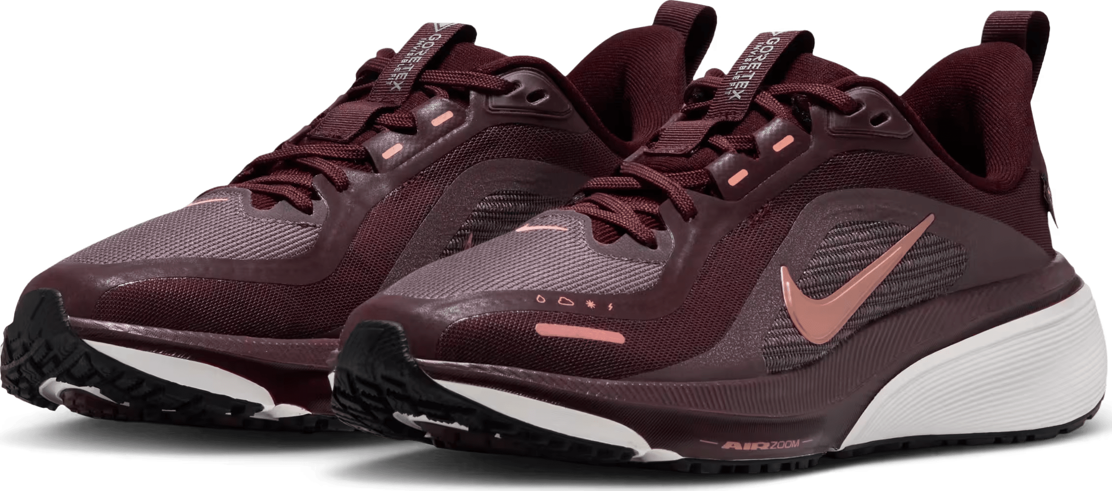 Nike Pegasus 42 GORE-TEX