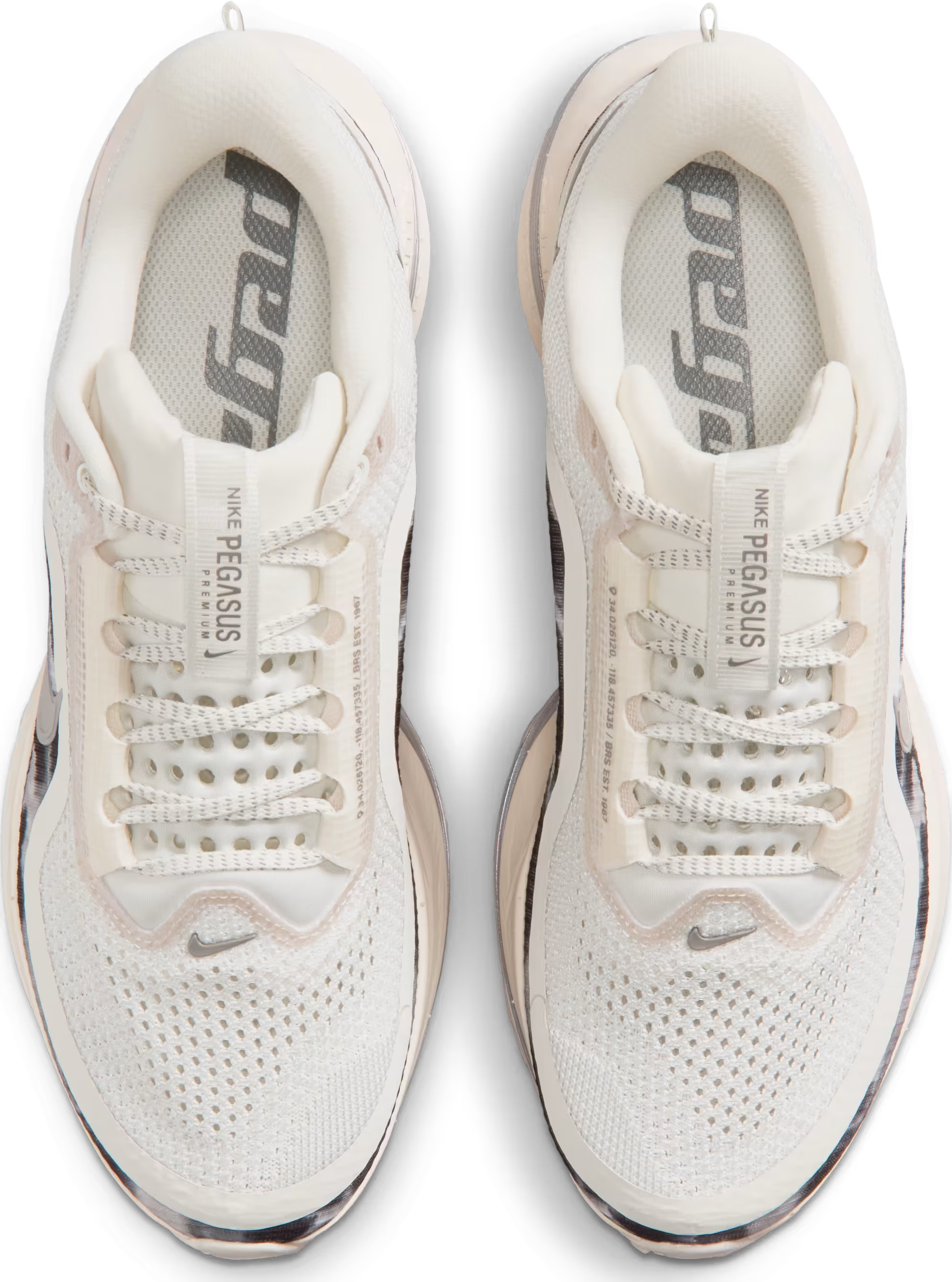 Nike Pegasus Premium SE Wmns "Smoke"