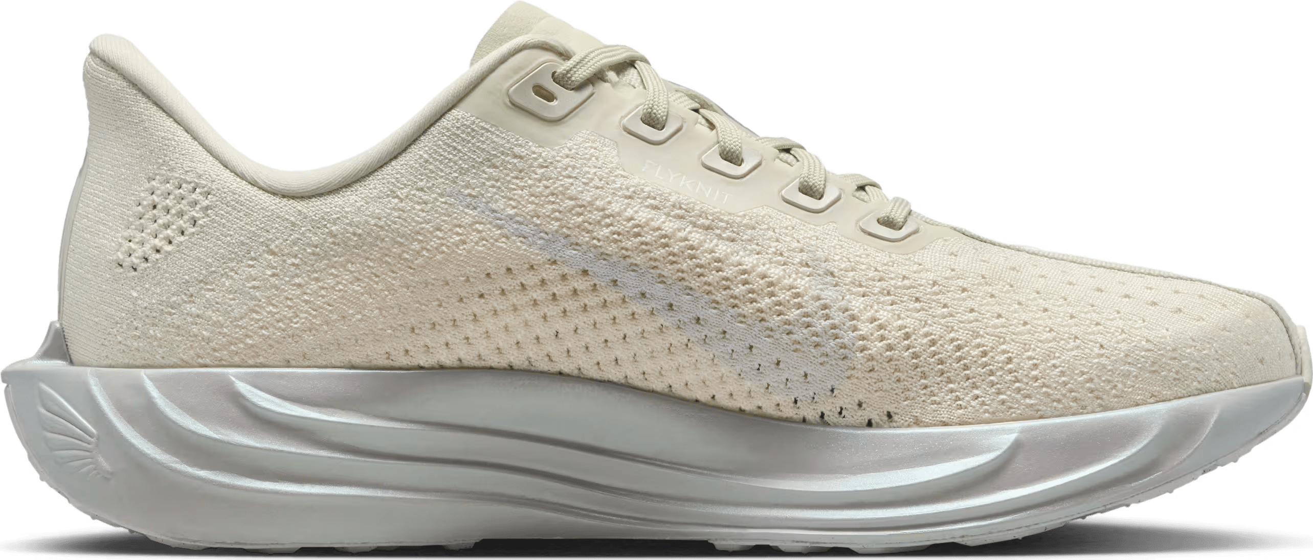 Nike Pegasus Plus ESS Sea Glass Chalk Pure Platinum
