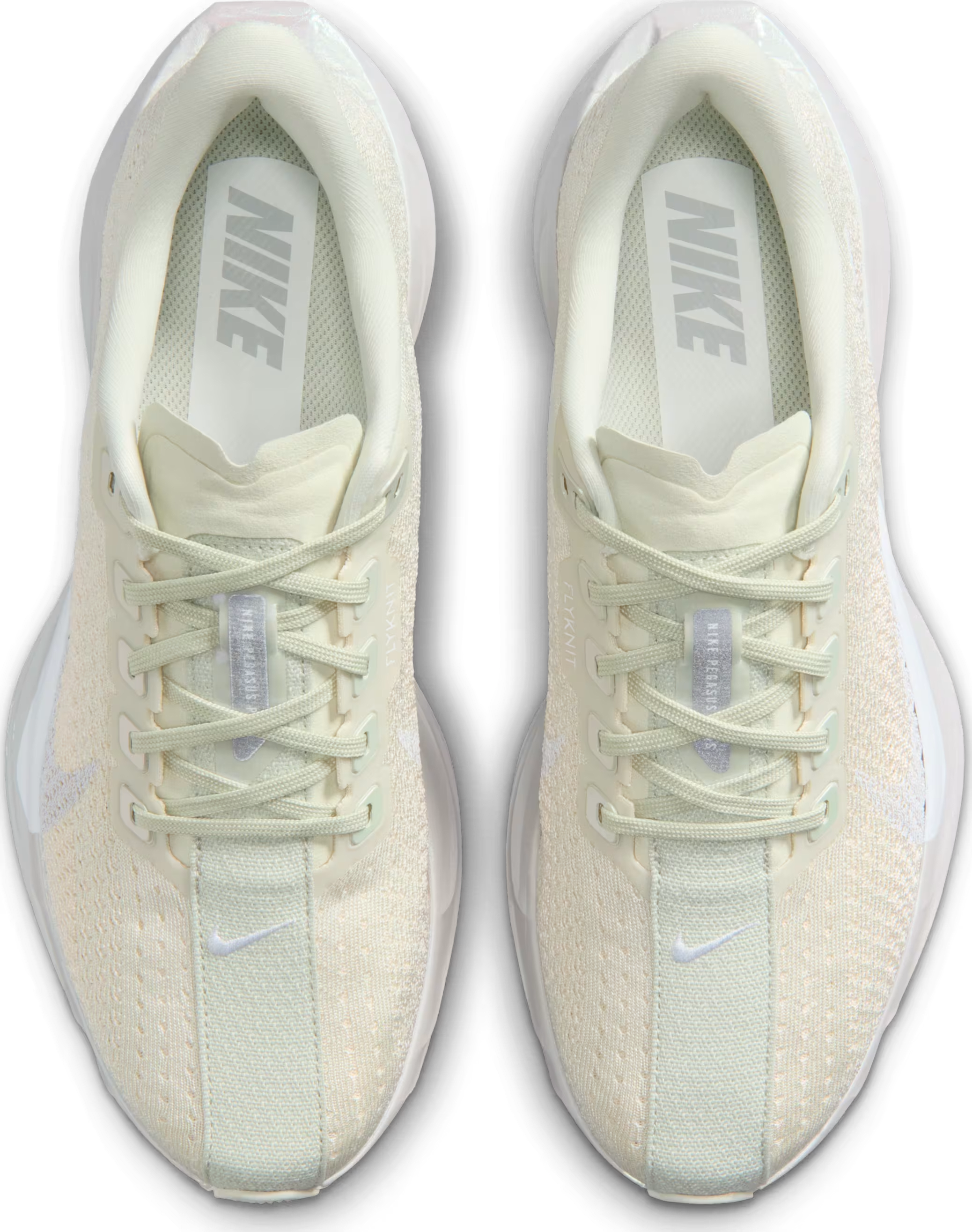 Nike Pegasus Plus ESS Sea Glass Chalk Pure Platinum
