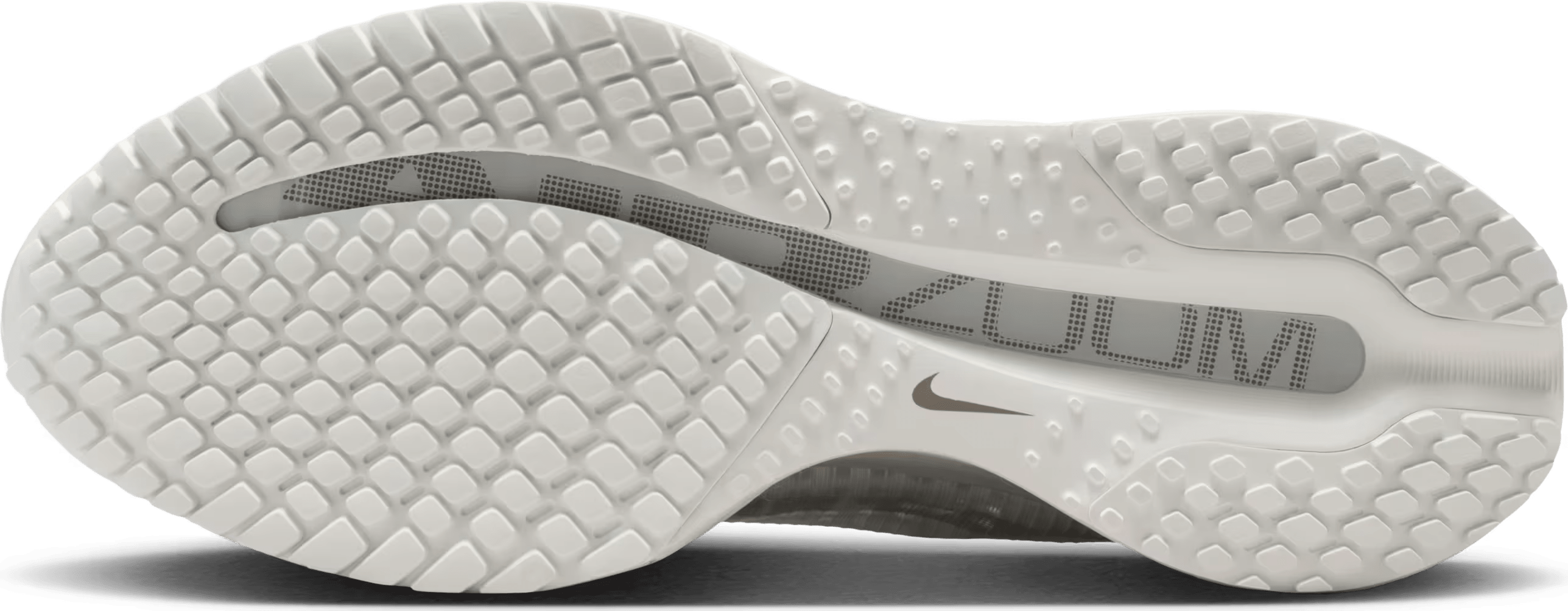 Nike Pegasus Premium "Summit White Iridescent"