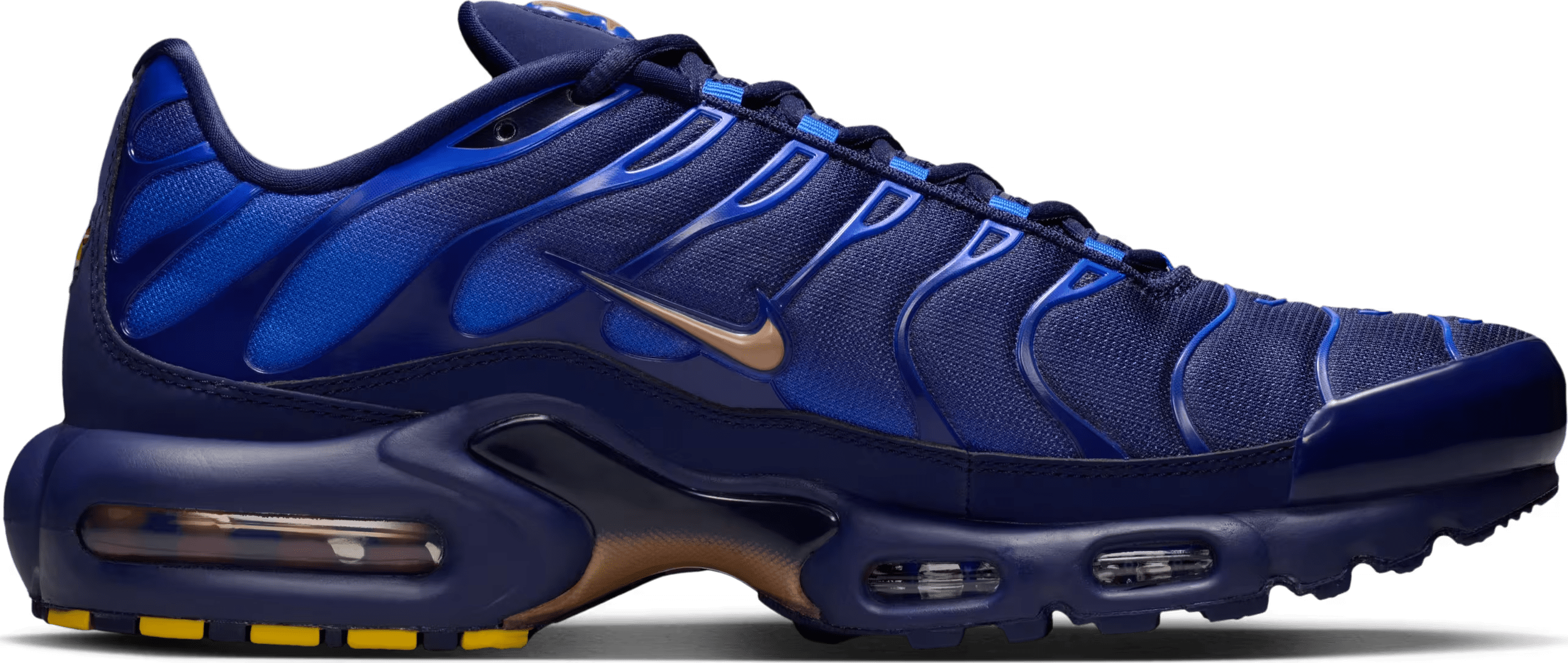 Nike Air Max Plus "French Football Federation"