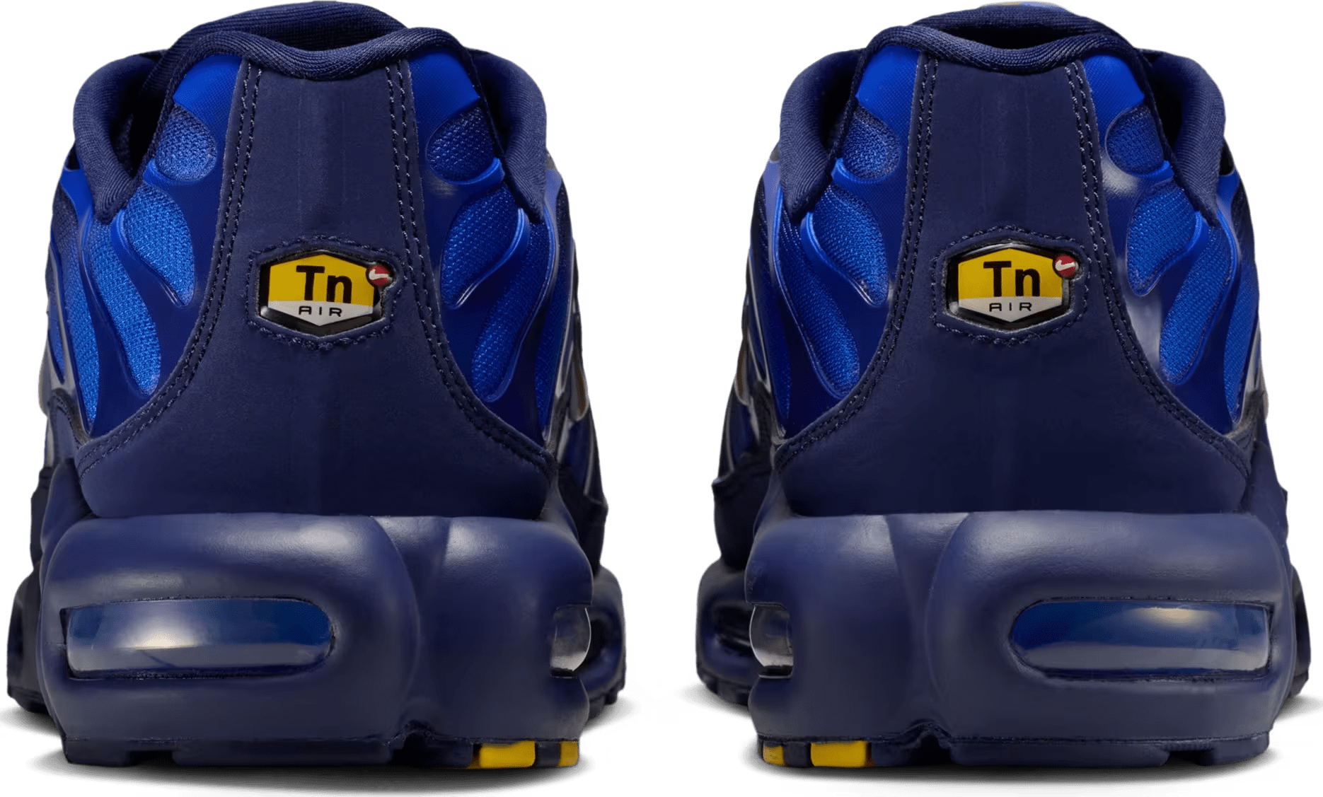 Nike Air Max Plus "French Football Federation"