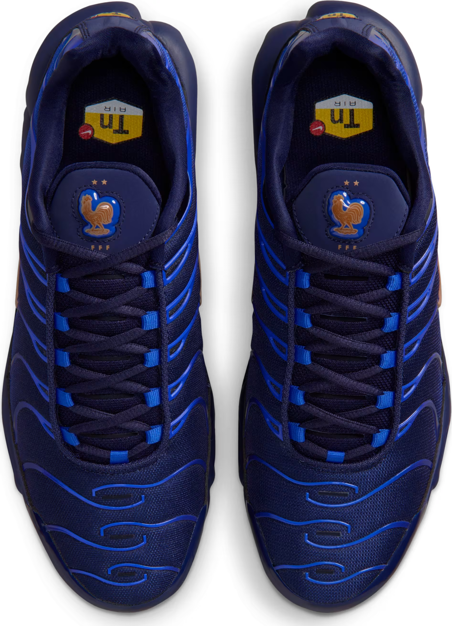 Nike Air Max Plus "French Football Federation"