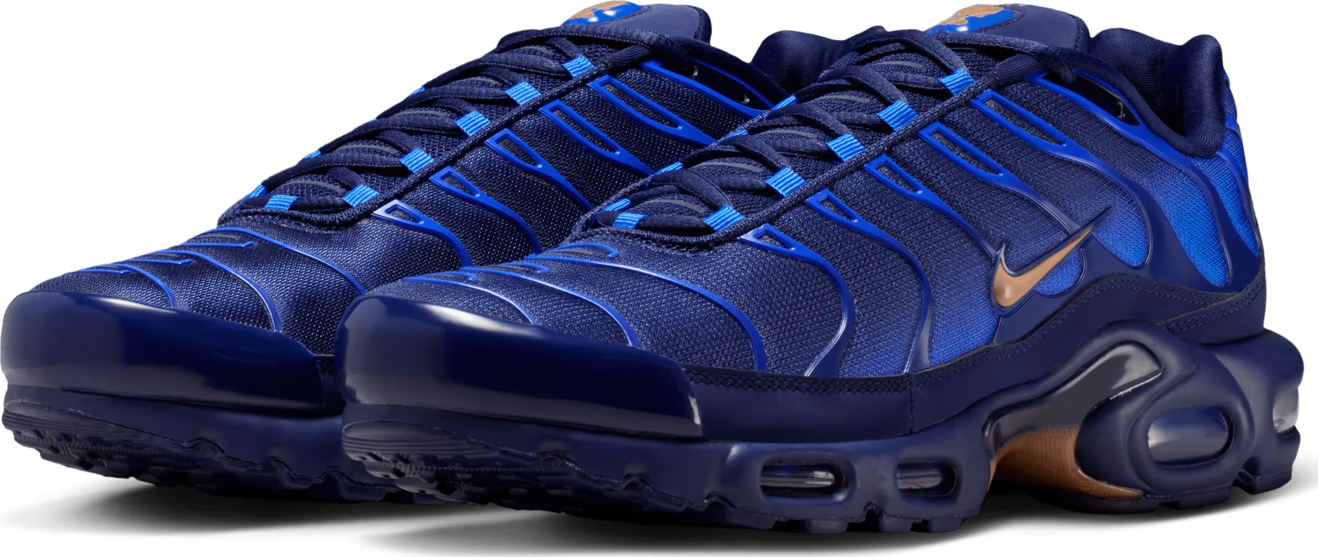 Nike Air Max Plus "French Football Federation"