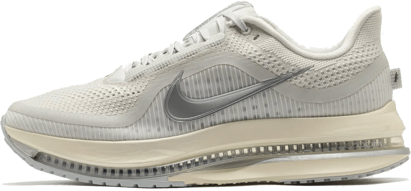 Nike Pegasus Premium "Reflect Silver"